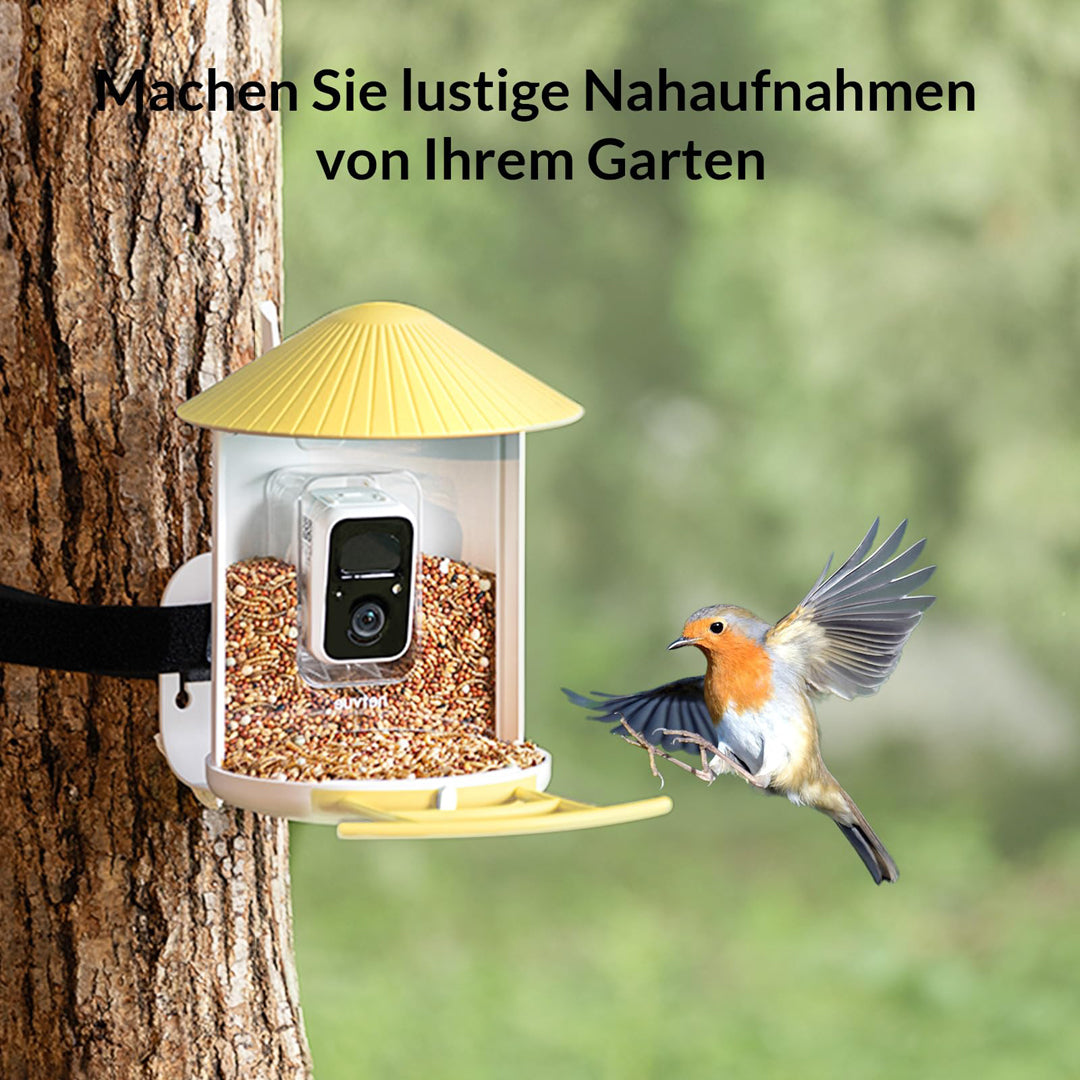 Birdfy Feeder Lite- Vogelfutterstation mit Kamera automatische Aufnahme von Vogelvideos