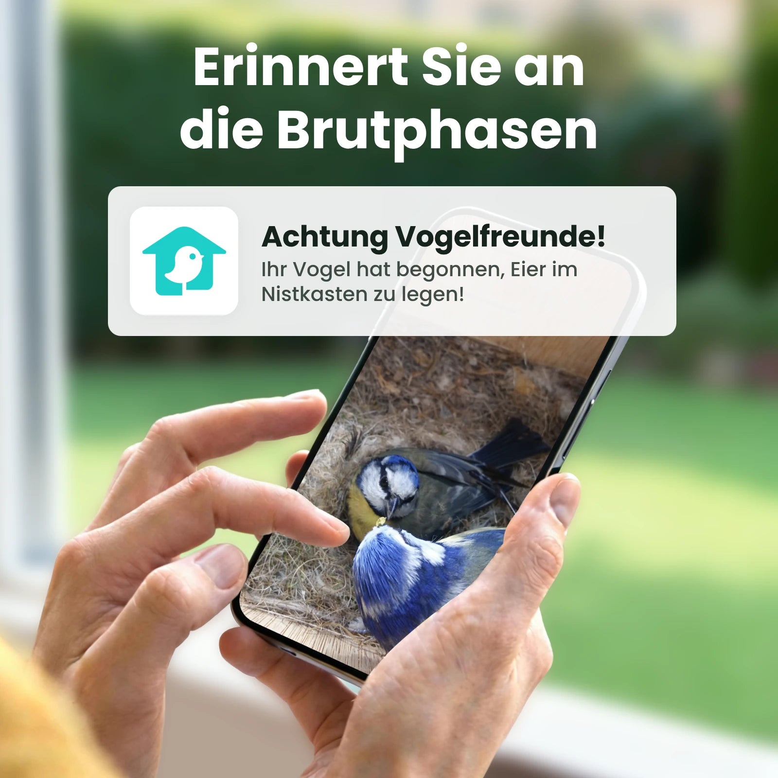 Birdfy Nest - Holzernes Smart-Vogelhaus mit Kamera