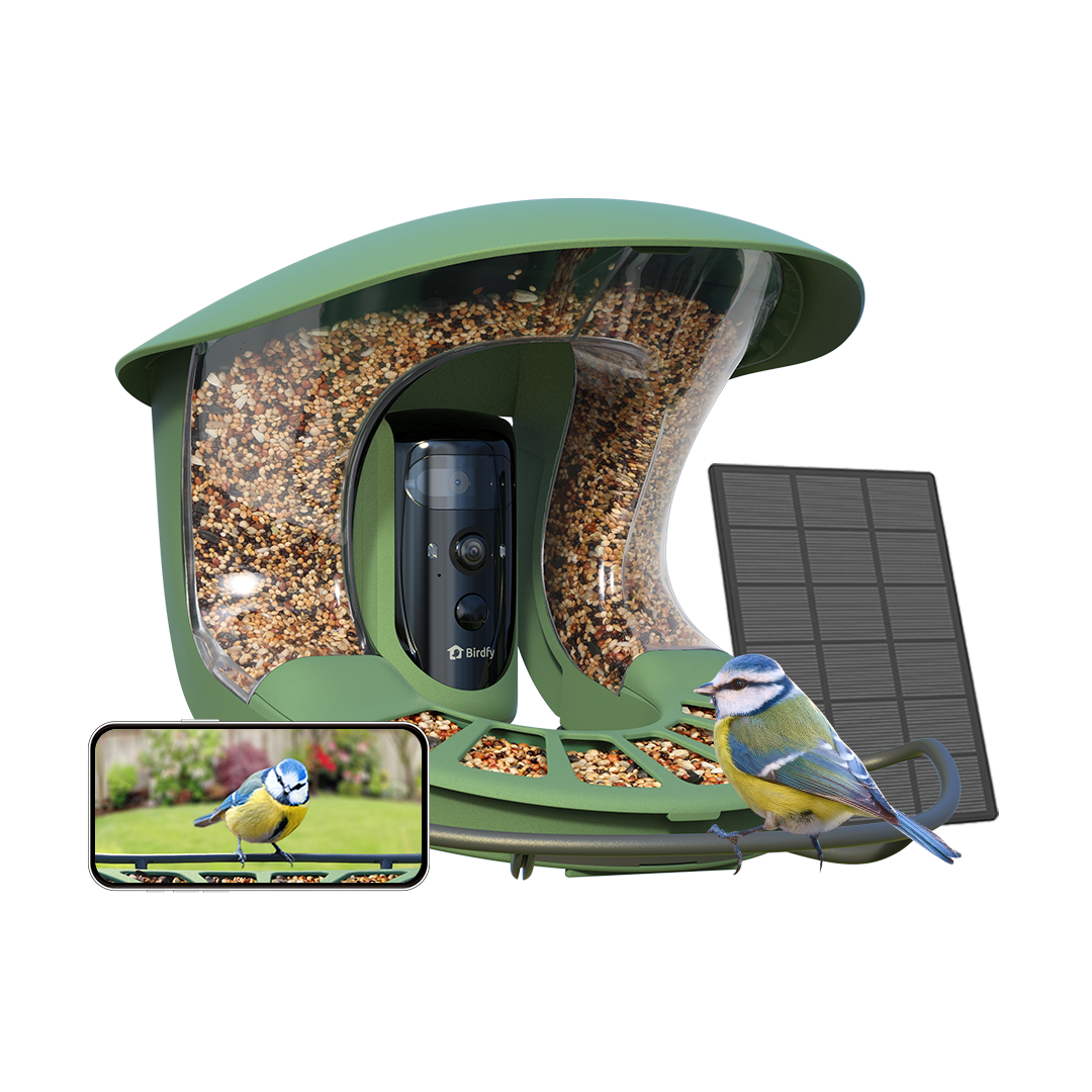 Birdfy Feeder 2 Pro - Bird Feeder Kamera