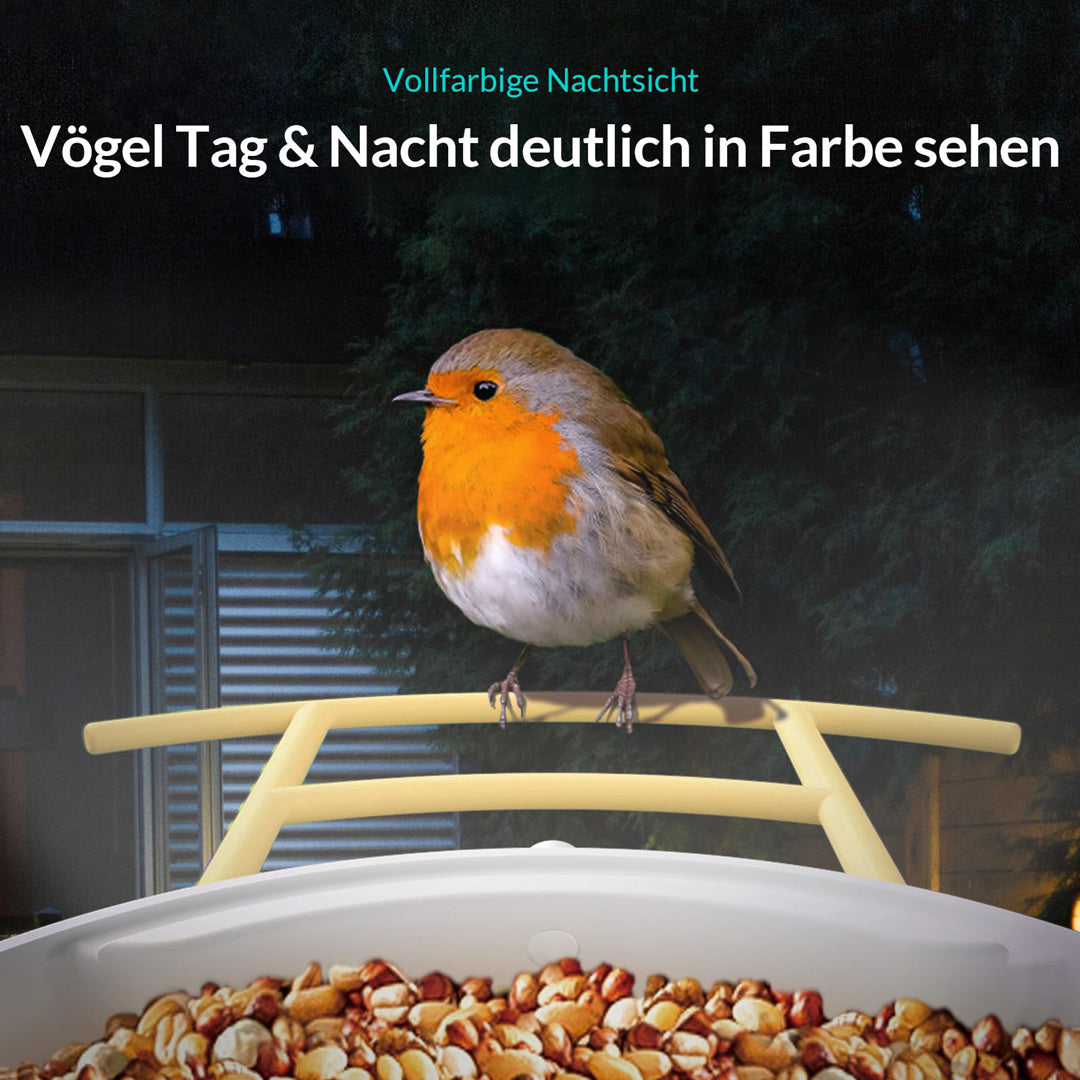 Birdfy Feeder Lite- Vogelfutterstation mit Kamera automatische Aufnahme von Vogelvideos