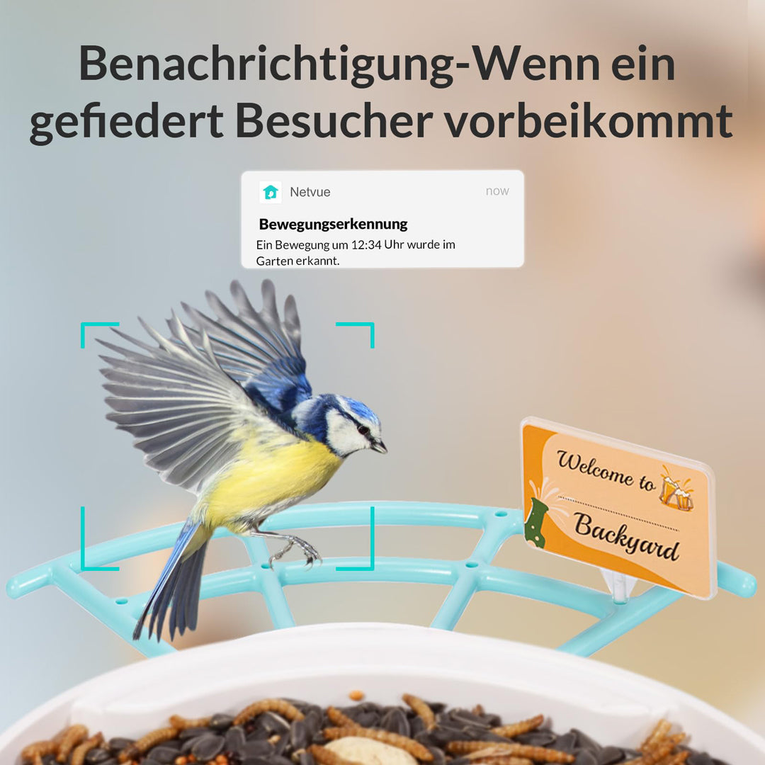 Birdfy Feeder Pro- Vogelfutterstation mit Kamera & DIY Multifunktionsständer