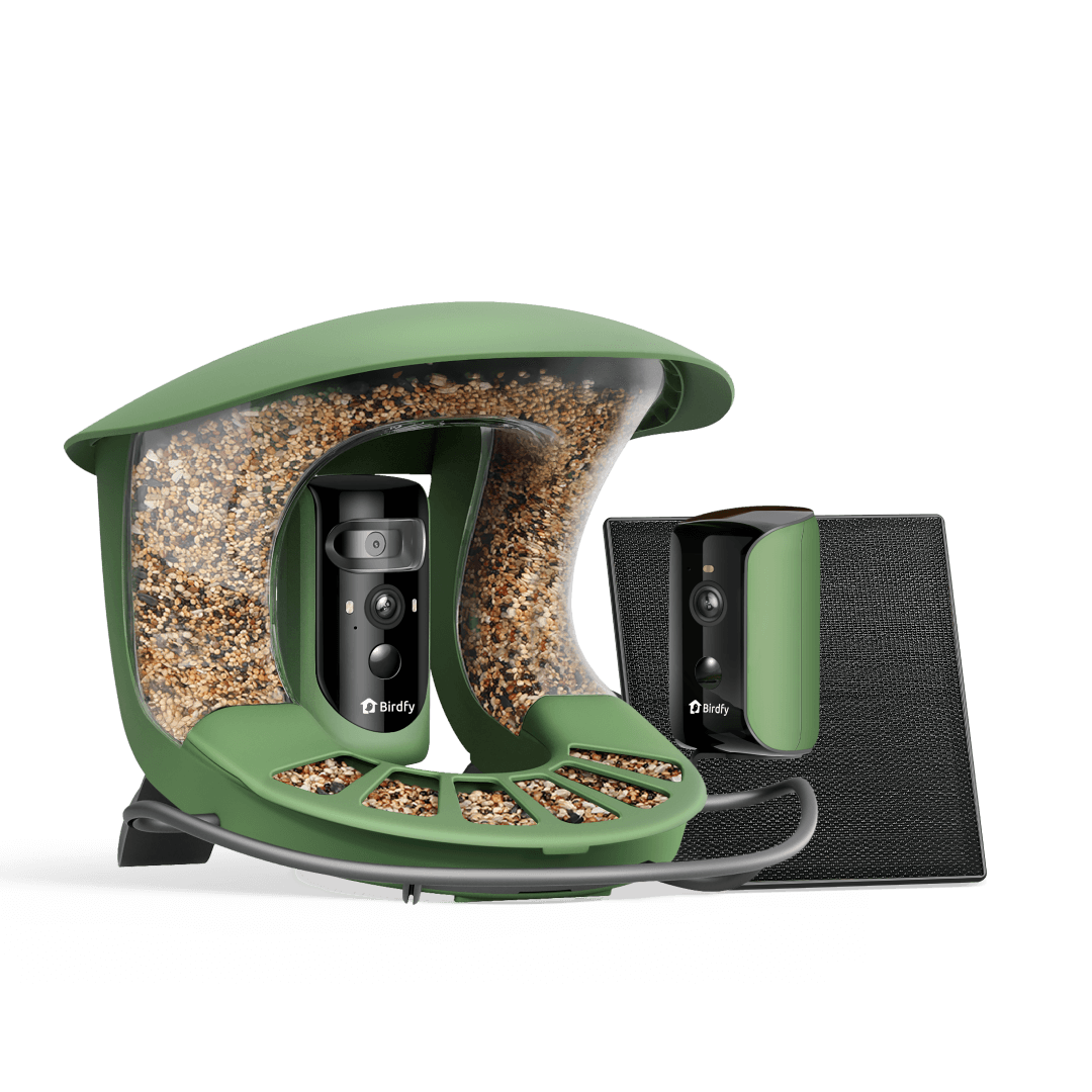 Birdfy Feeder 2 Duo - Bird Feeder with Kamera