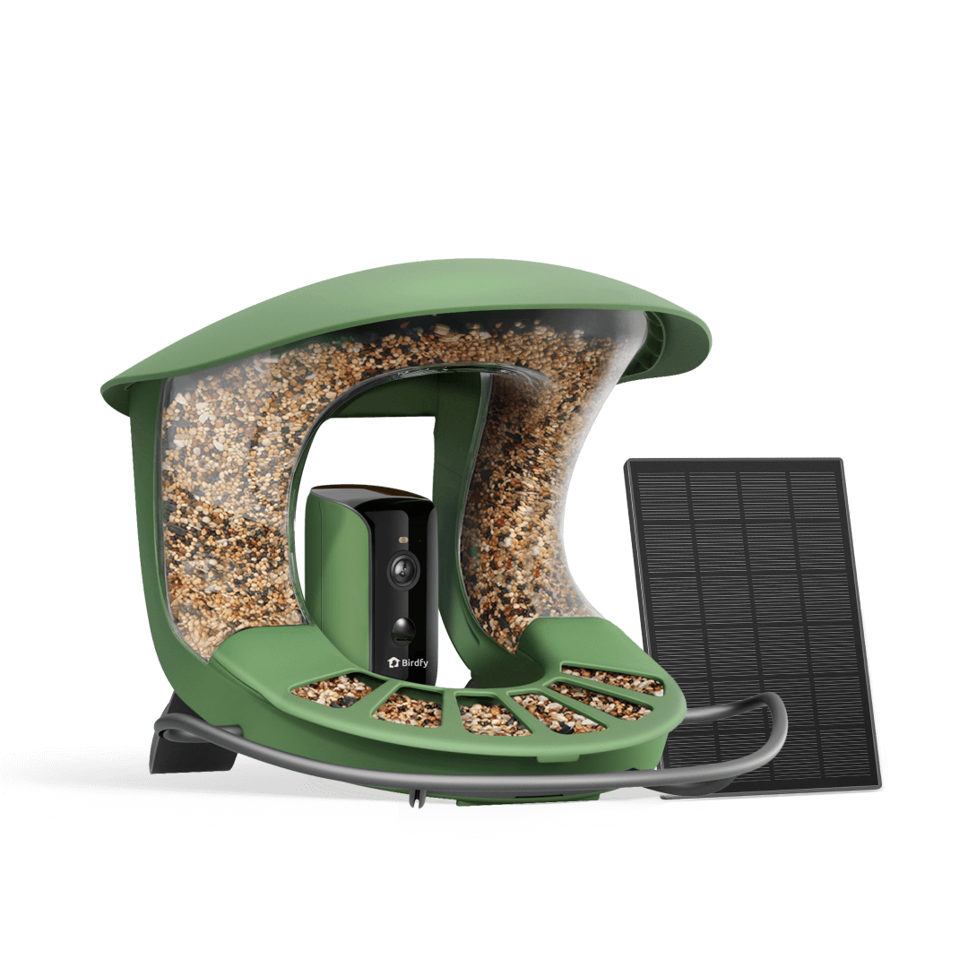 Birdfy Feeder 2 - Vogel Futterhaus mit Kamera