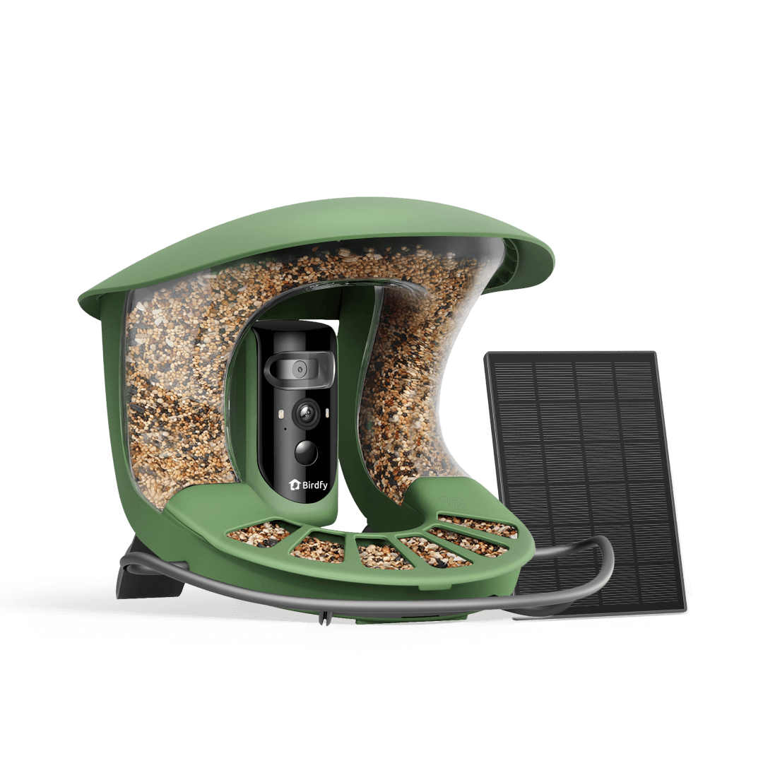 Birdfy Feeder 2 Pro - Vogel Futterhaus mit Kamera