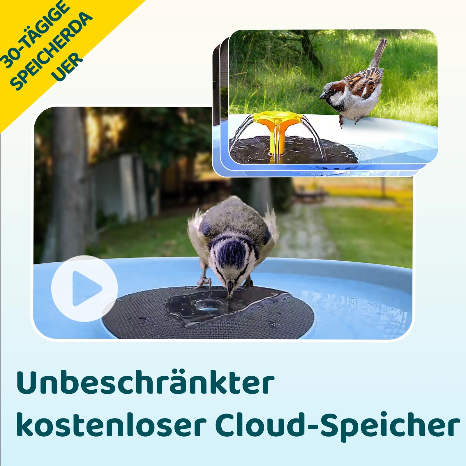 Birdfy Bath Pro - Intelligente Vogelfontäne mit Kamera