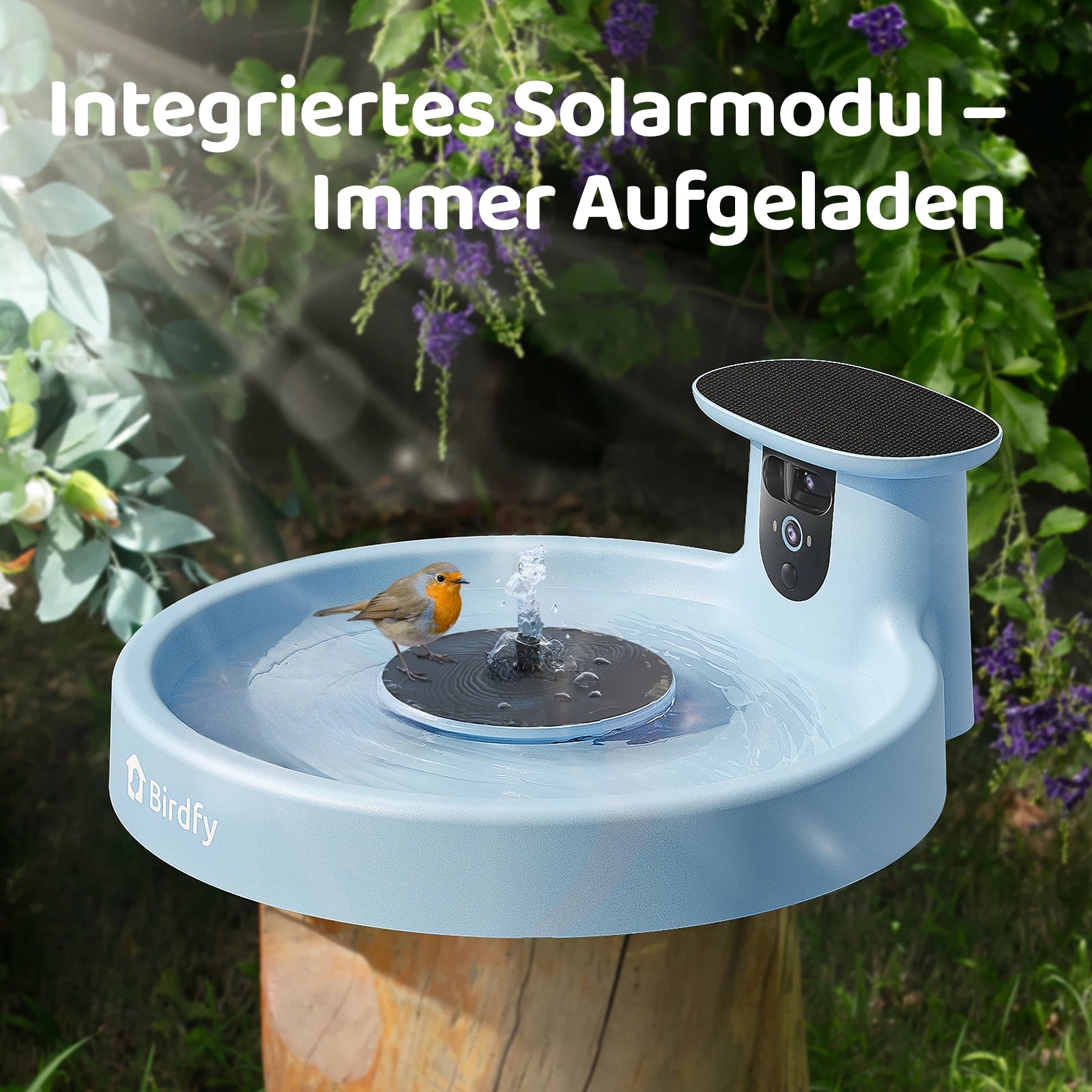 Birdfy Bath Pro - Intelligente Vogelfontäne mit Kamera