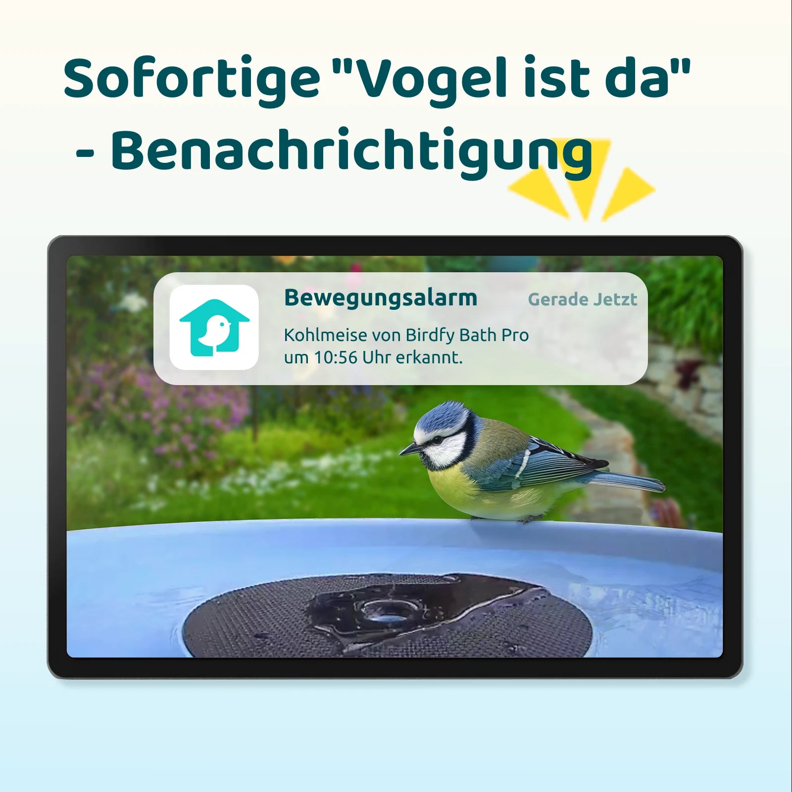Birdfy Bath Pro - Intelligente Vogelfontäne mit Kamera