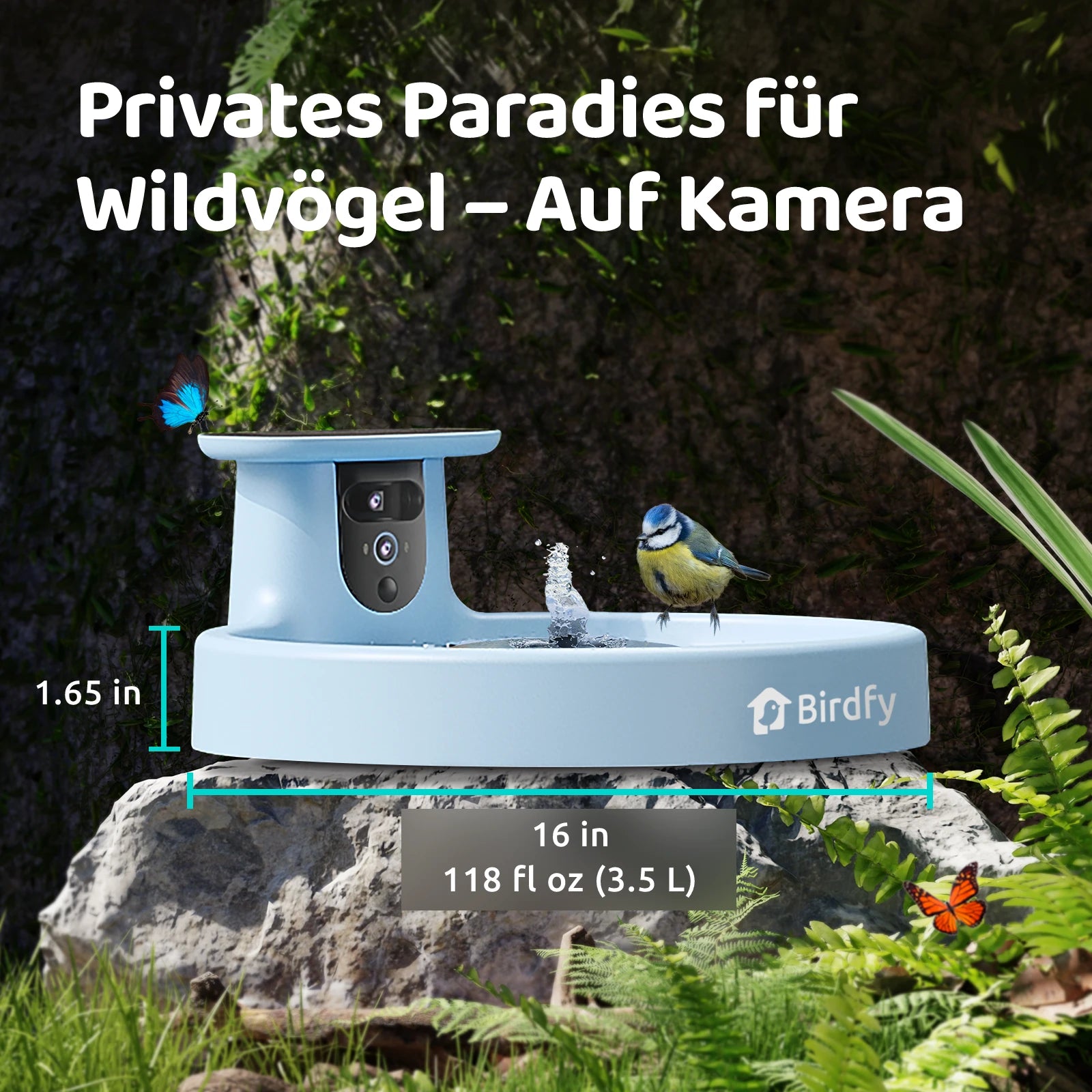 Birdfy Bath Pro - Intelligente Vogelfontäne mit Kamera
