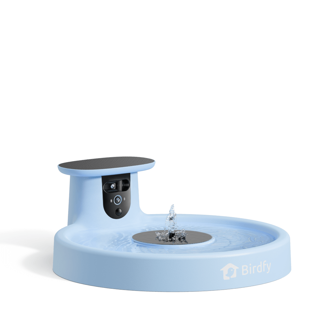 Birdfy Bath Pro - Intelligente Vogelfontäne mit Kamera
