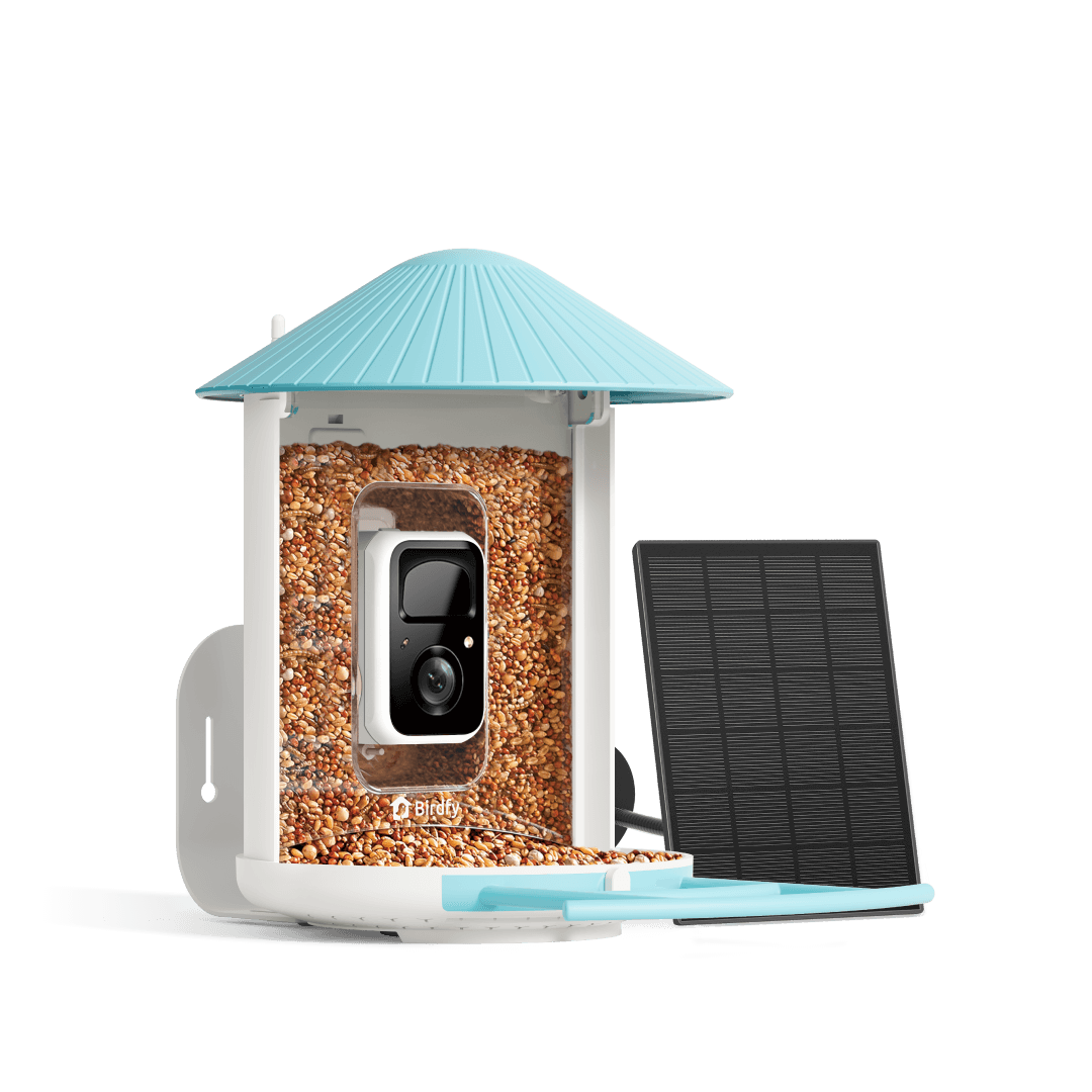 Birdfy Feeder - FutterHaus Vögel mit Kamera und Solarpanel
