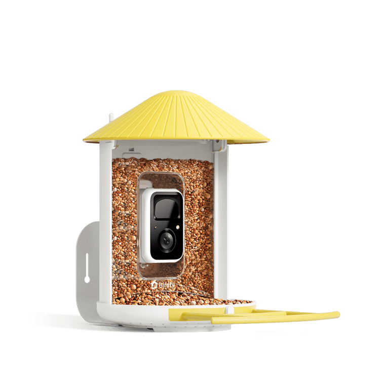 Birdfy Feeder - FutterHaus Vögel mit Kamera