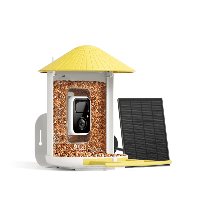 Birdfy Feeder - FutterHaus Vögel mit Kamera und Solarpanel