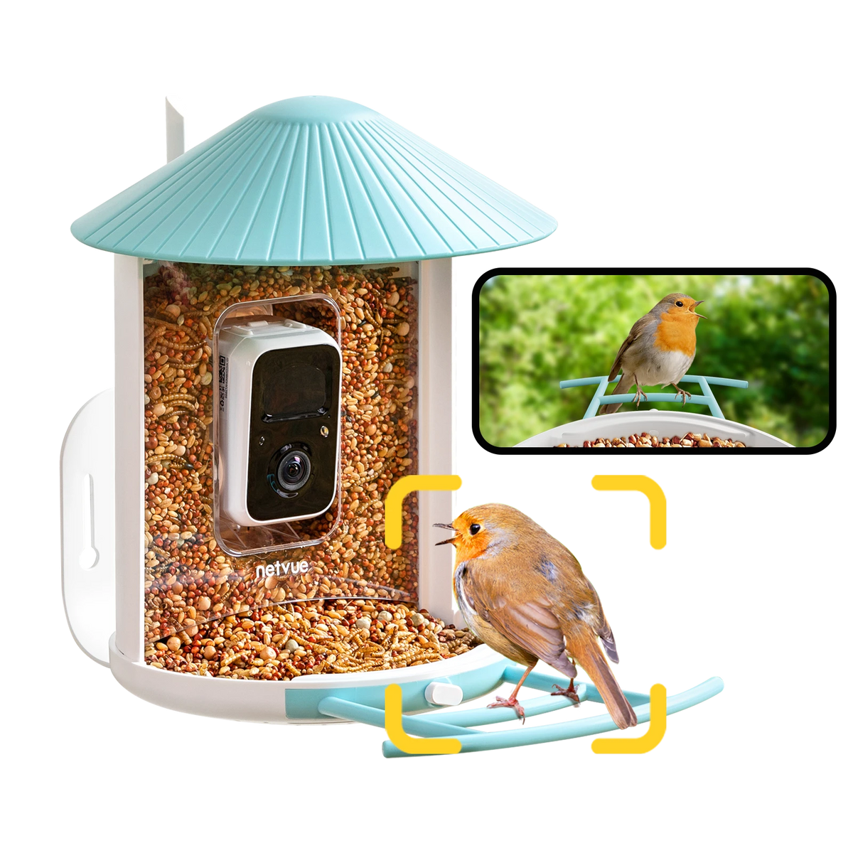 Vogelfutterhaus Mit Kamera Vogelhaus Mit Kamera Solar - 2K WLAN Vogelfutterhaus IP66, AI Vogelerkennung, Eichhörnchensicher Solar Vogelfutterhaus WLAN