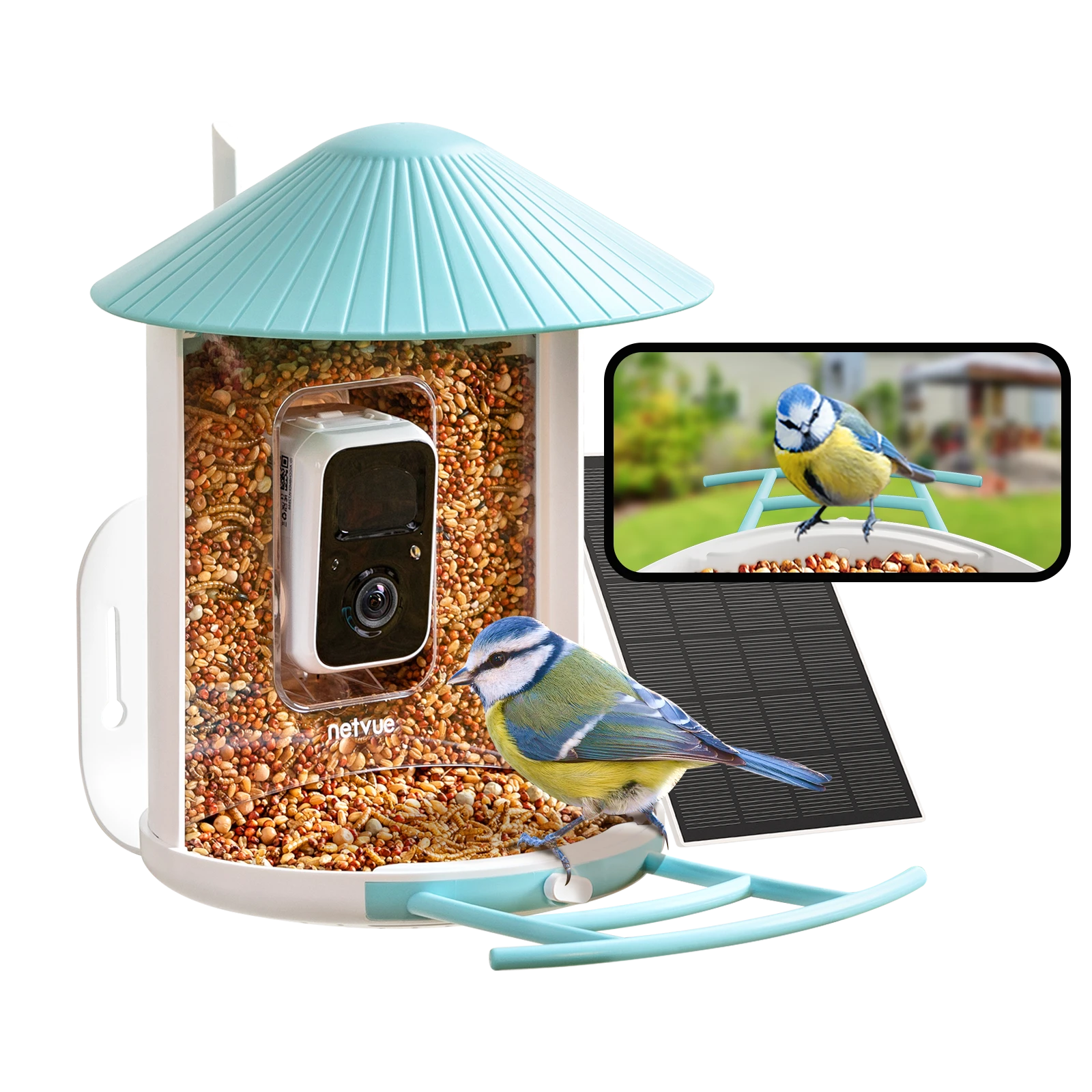 Birdfy Feeder - FutterHaus Vögel mit Kamera und Solarpanel