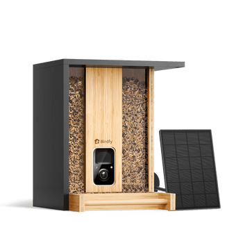 Birdfy Feeder Bamboo