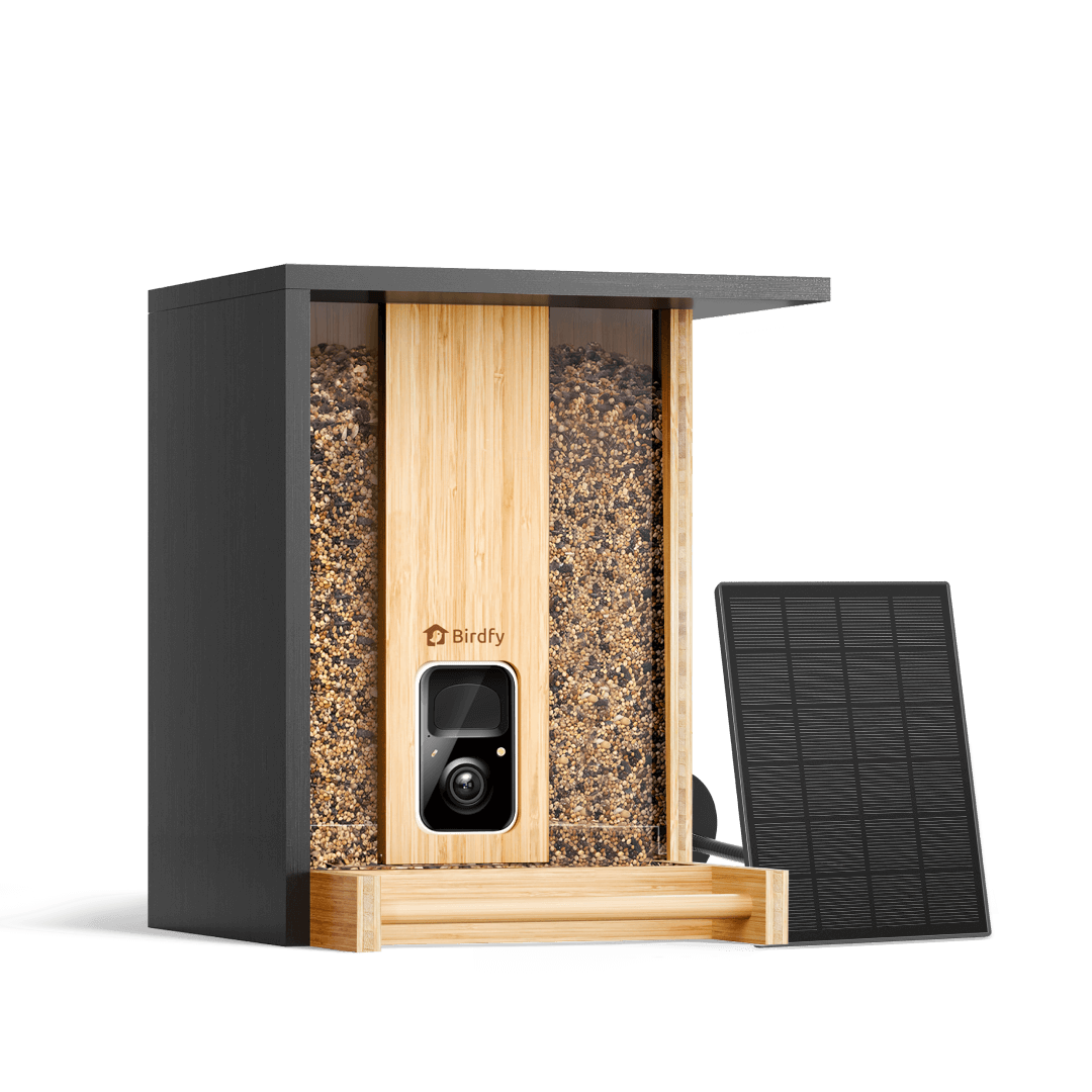 Birdfy Feeder Bamboo- Ökologischer Vogel-Fütterer mit Kamera