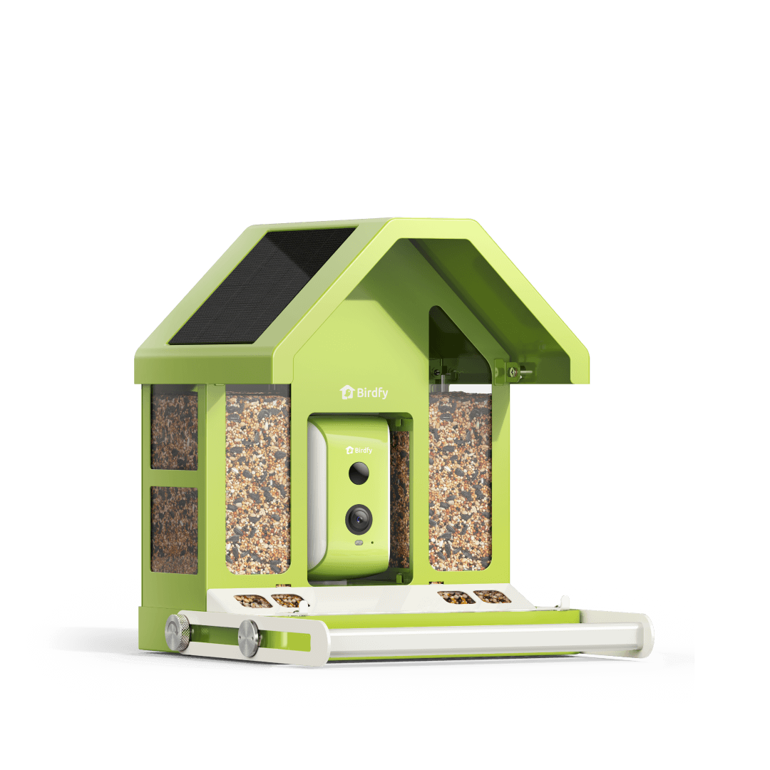 Birdfy Feeder Metal - Vogel Futterhaus mit Kamera