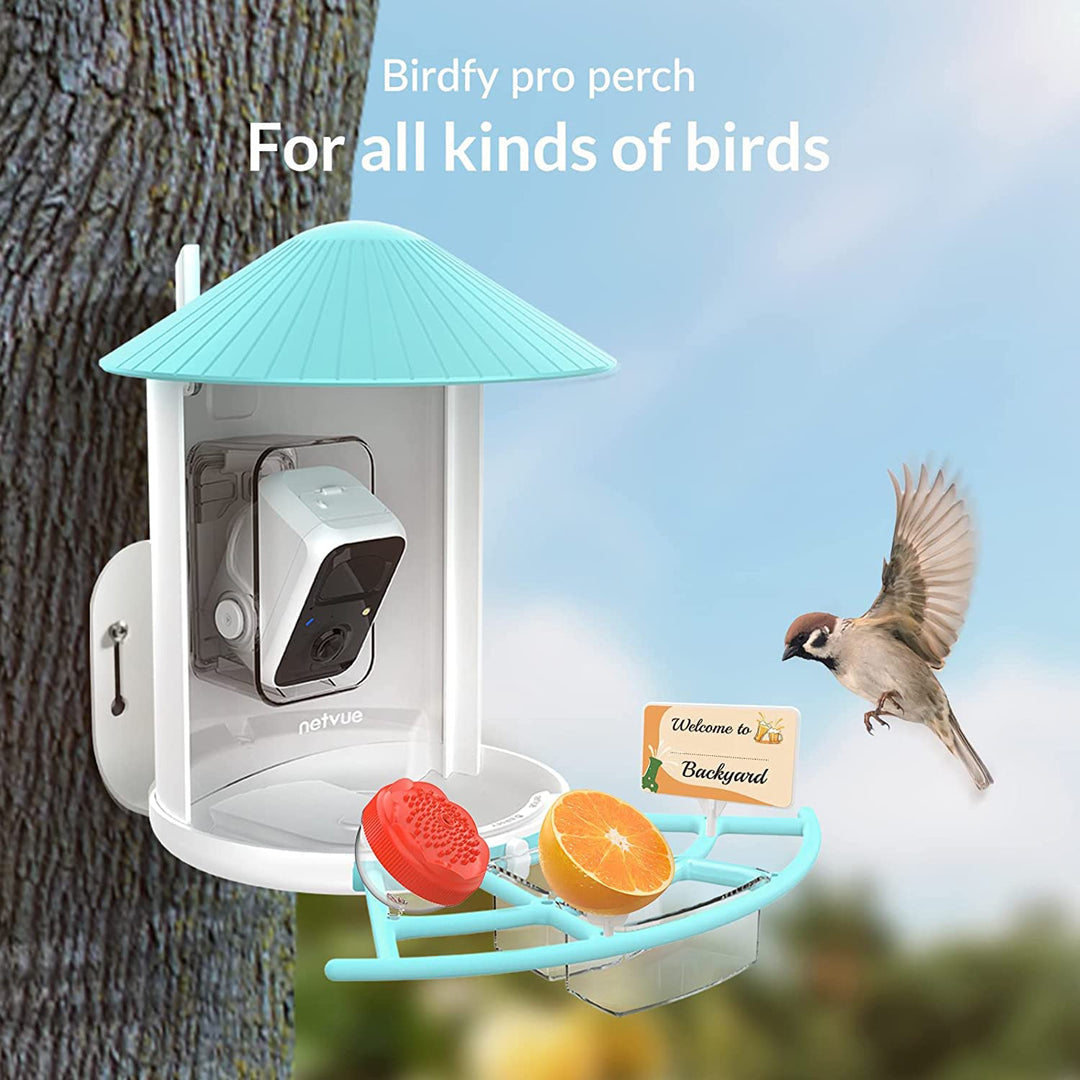 Birdfy Pro Perch Erweiterungskit: Perfekt für DIY-Vogel-Enthusiasten