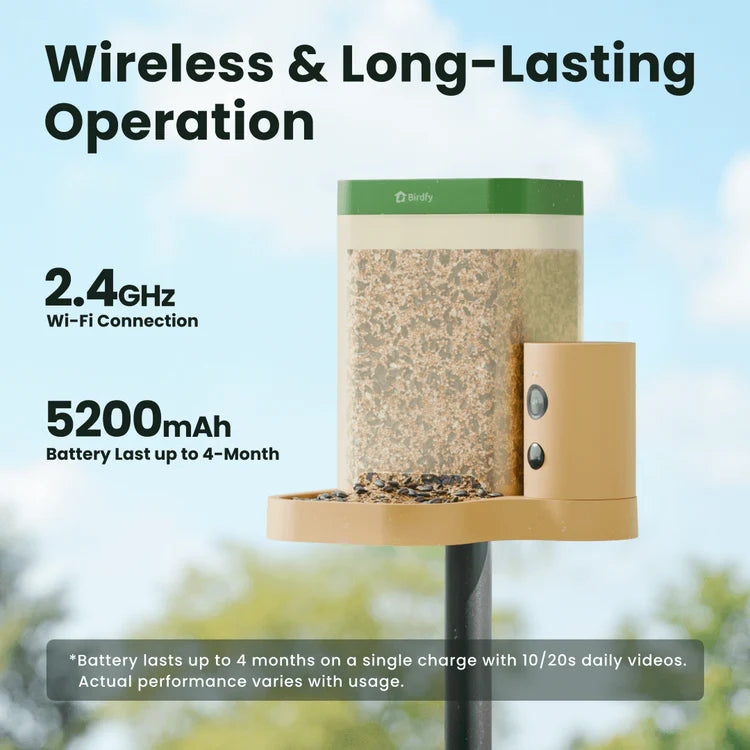 Birdfy Feeder Rookie - Einstiegsfreundlicher Smart-Vogelfutterspender