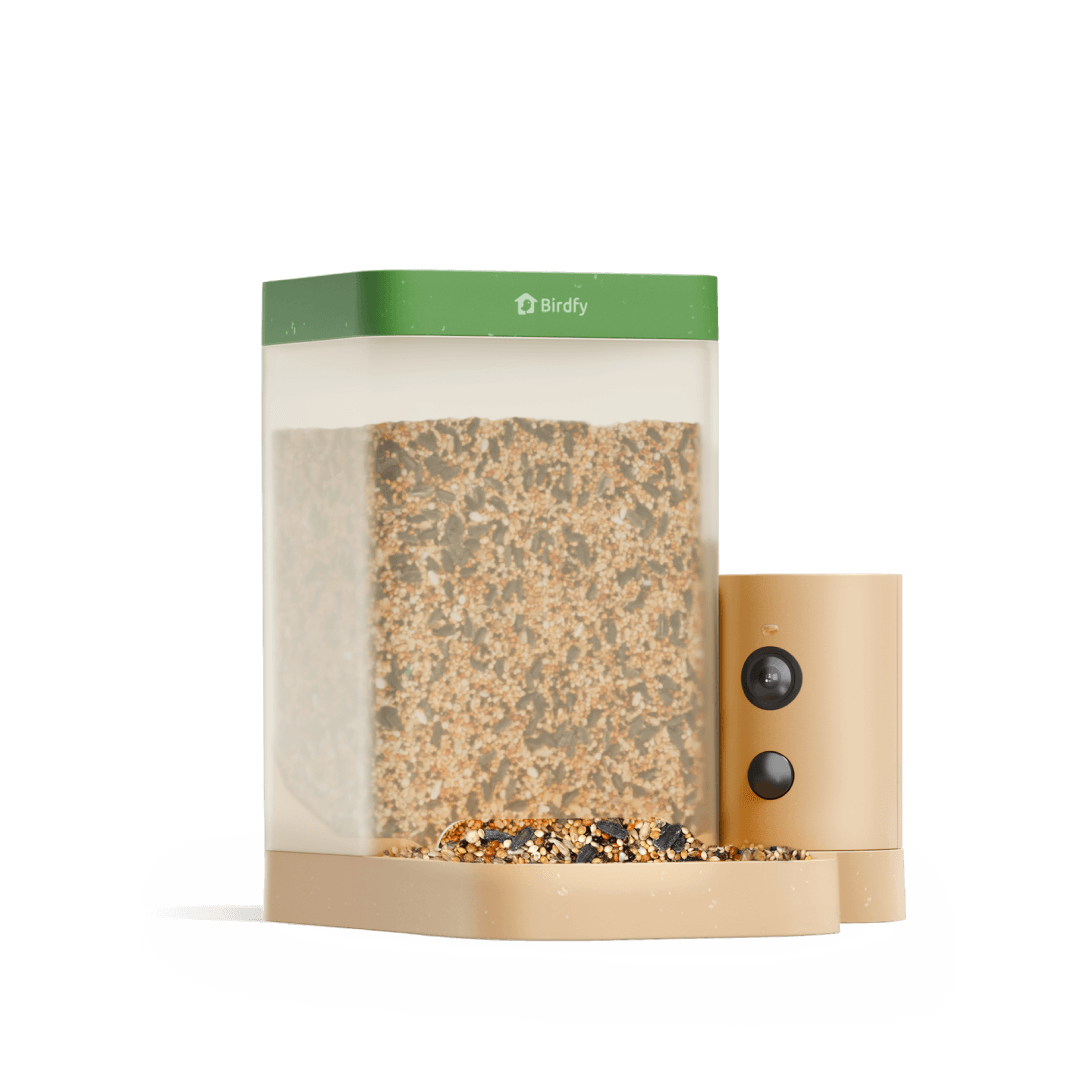 Birdfy Feeder Rookie - Einstiegsfreundlicher Smart-Vogelfutterspender