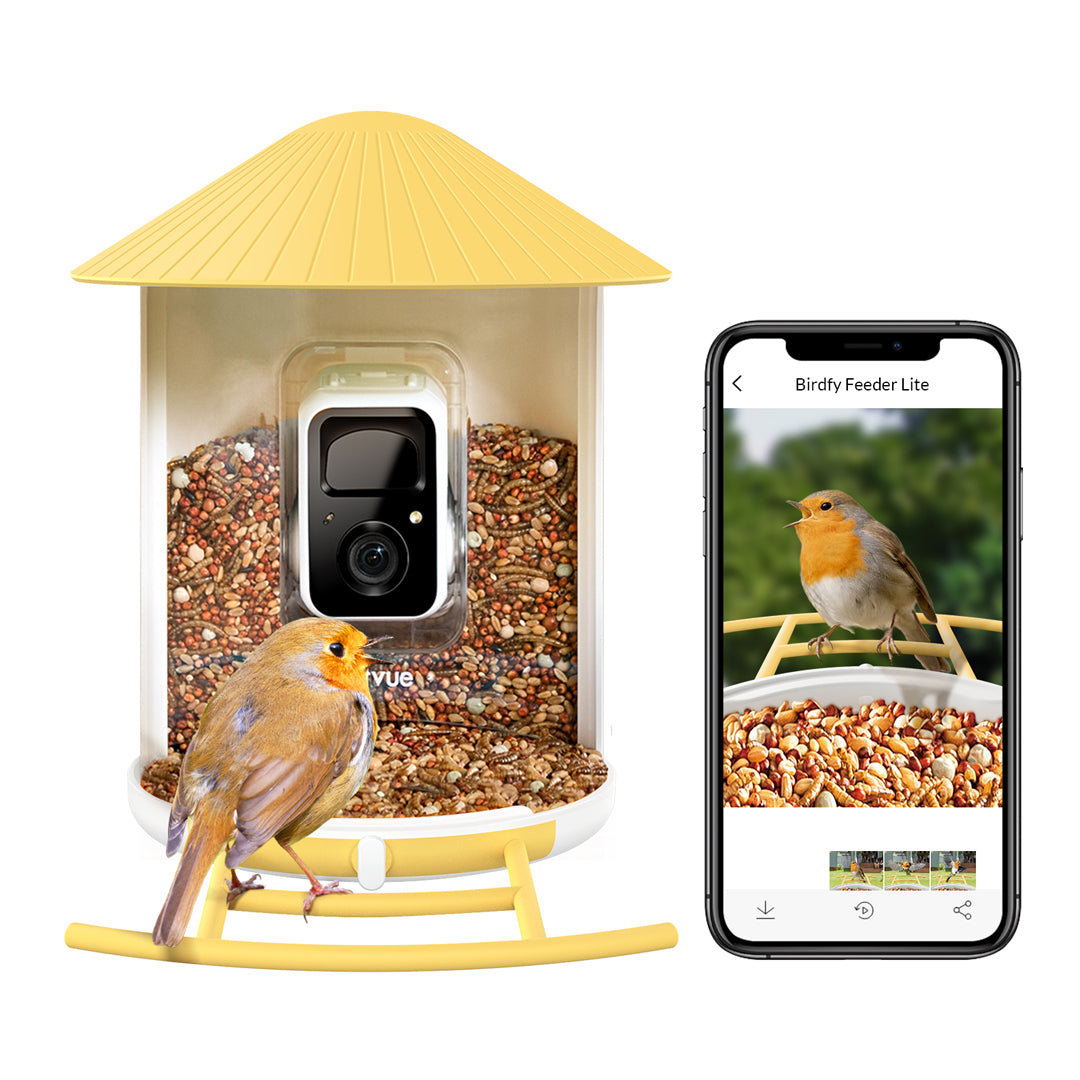 Birdfy Feeder Lite- Vogelfutterstation mit Kamera automatische Aufnahme von Vogelvideos