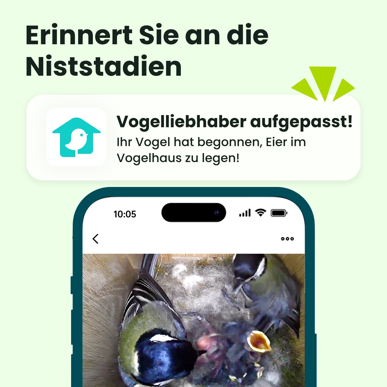 Birdfy Nest- Smart Vogelhaus mit Doppelkamera