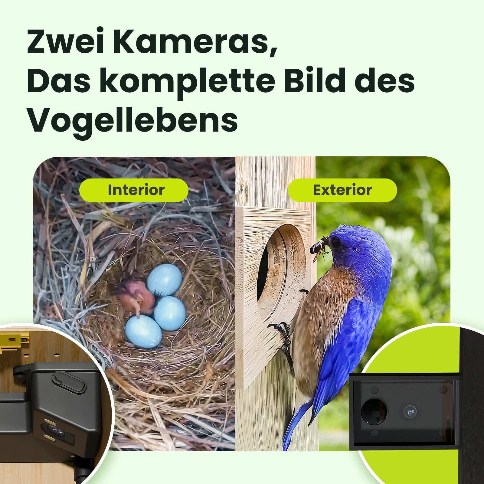 Birdfy Nest- Smart Vogelhaus mit Doppelkamera