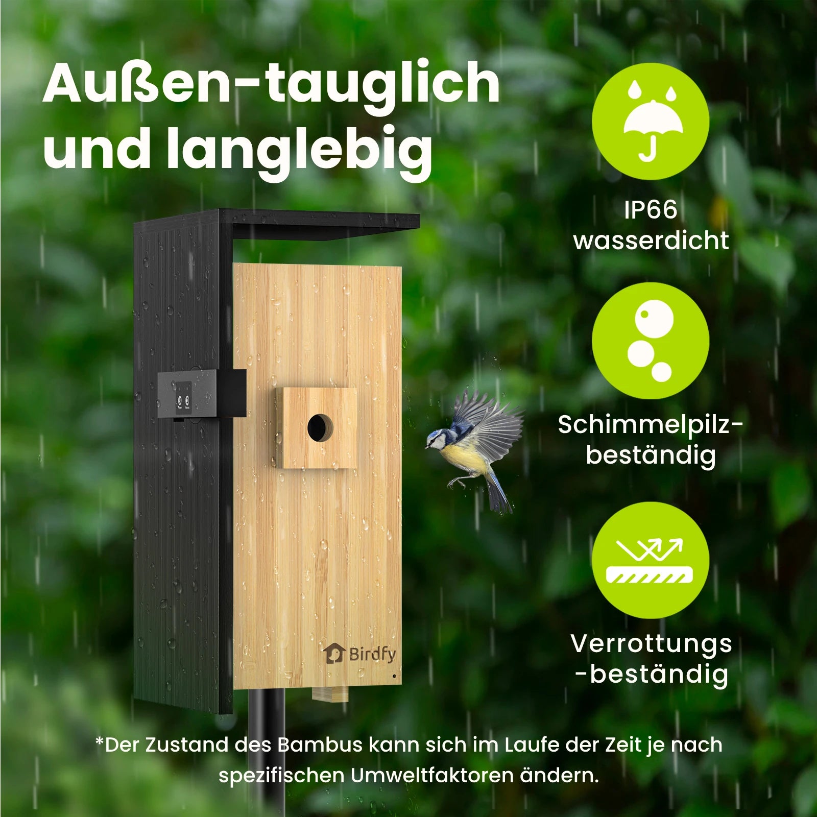 Birdfy Nest- Smart Vogelhaus mit Doppelkamera