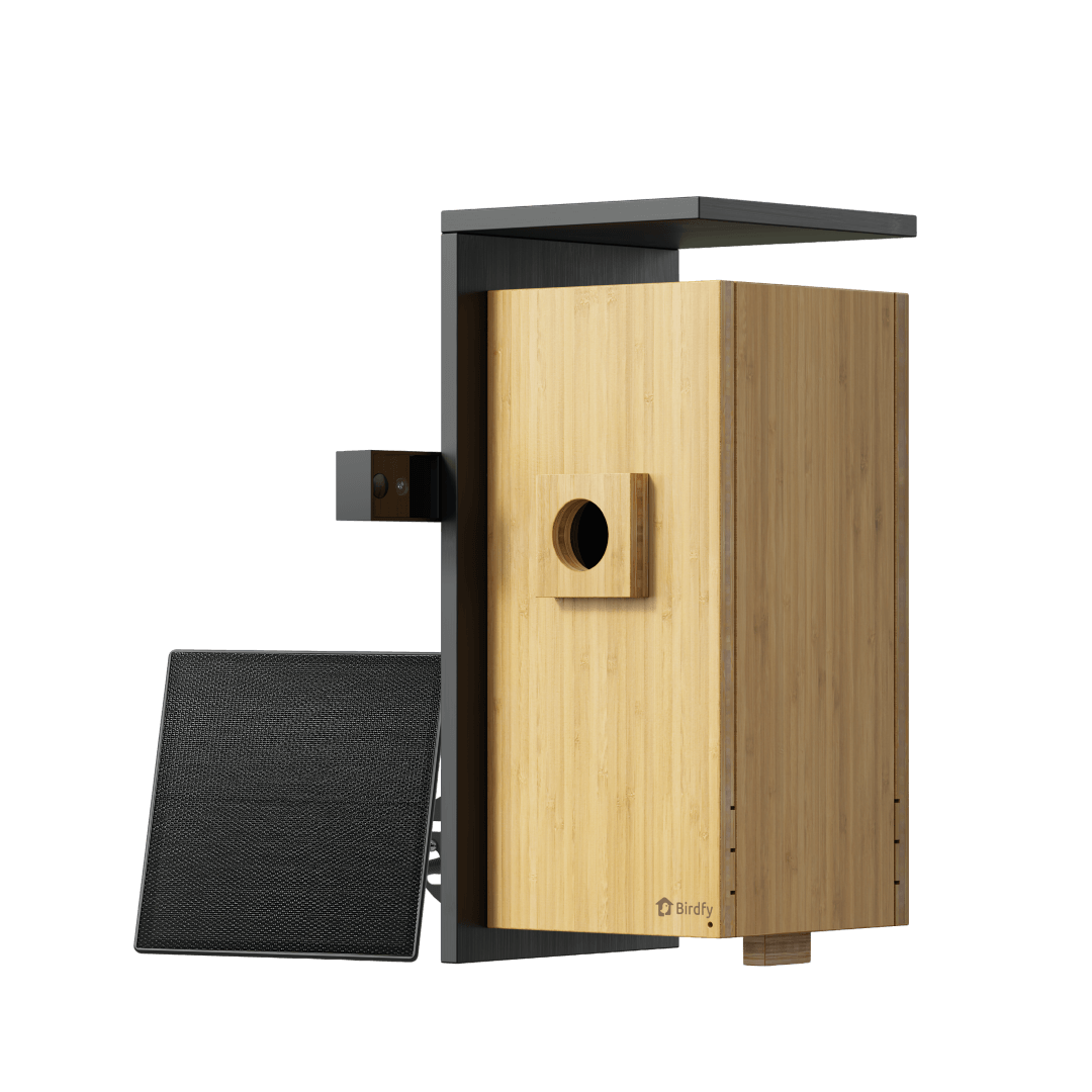 Birdfy Nest- Smart Vogelhaus mit Doppelkamera