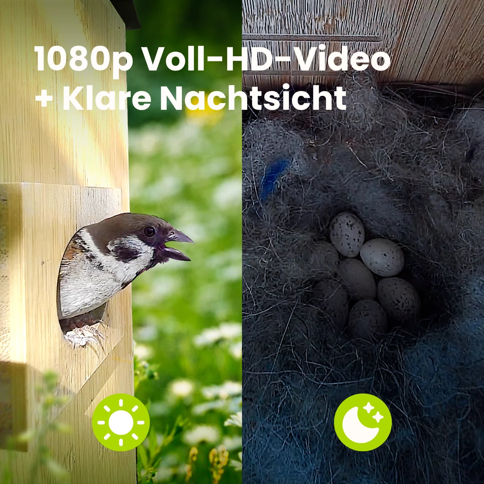 Birdfy Nest- Smart Vogelhaus mit Doppelkamera