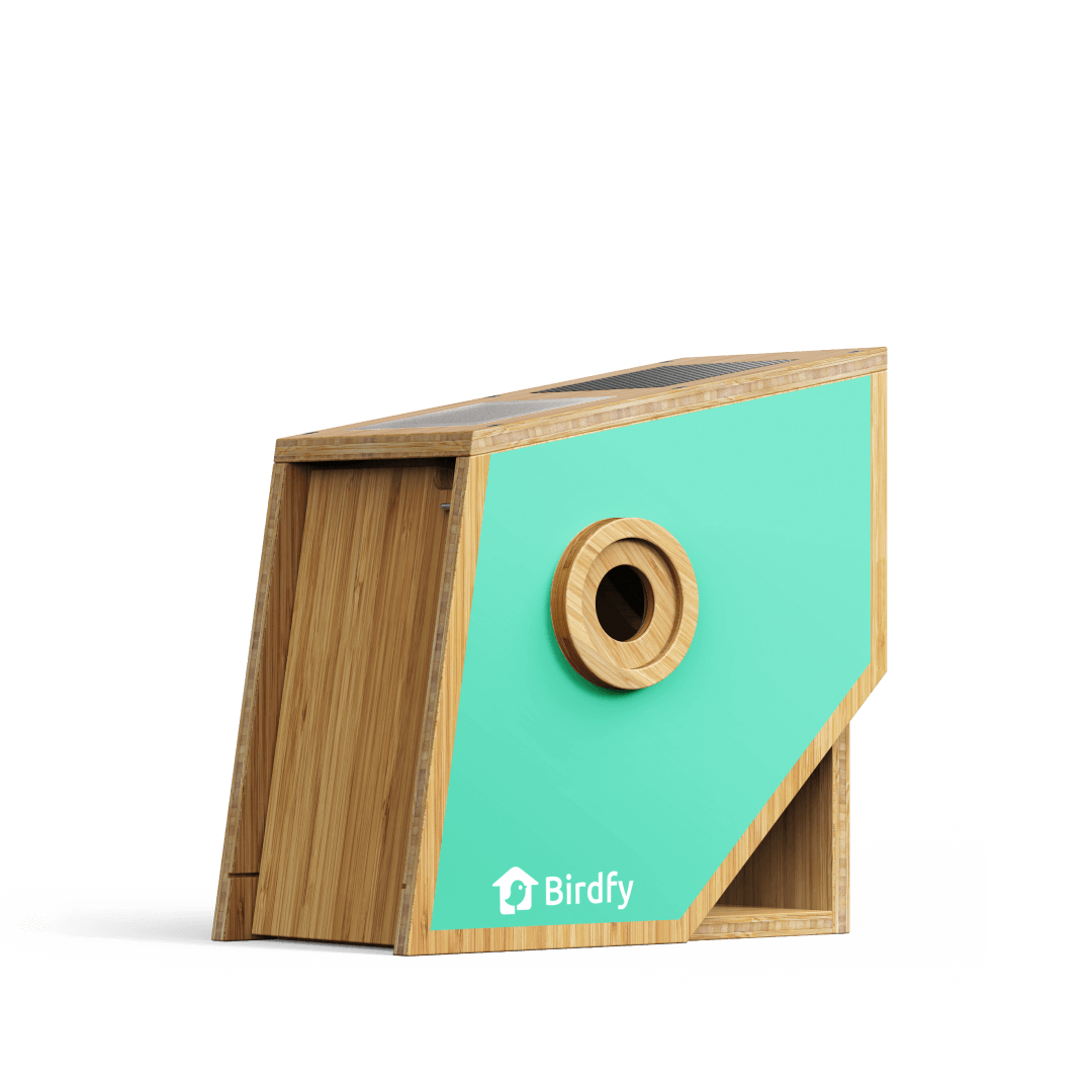 Birdfy Nest Polygon - Intelligentes Vogelhaus mit Kamera