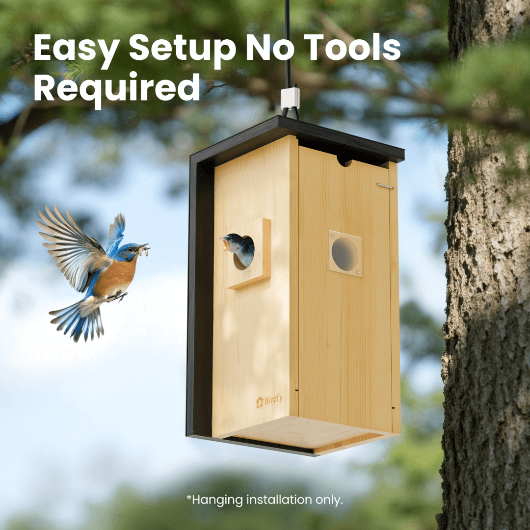 Birdfy Nest - Holzernes Smart-Vogelhaus mit Kamera