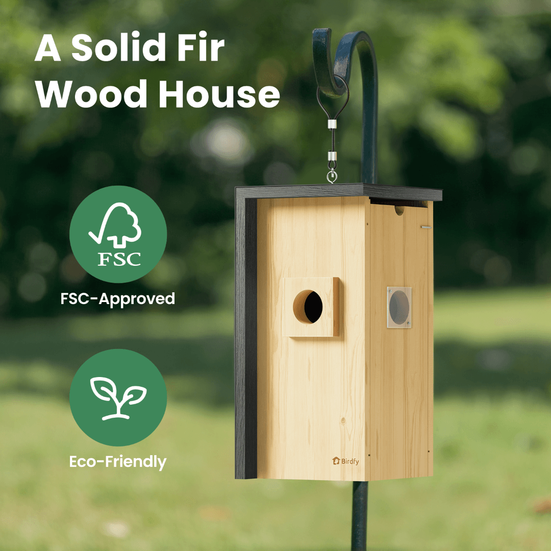Birdfy Nest - Holzernes Smart-Vogelhaus mit Kamera