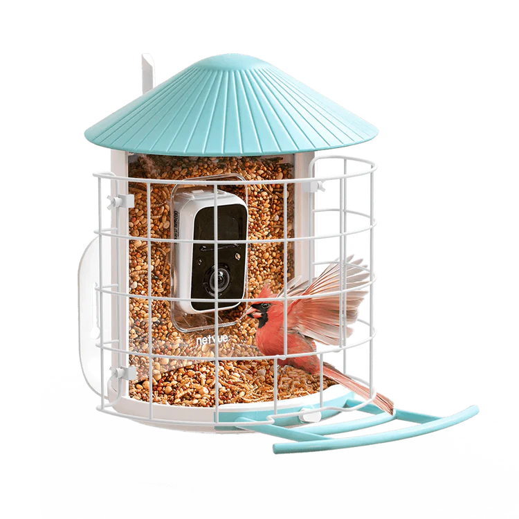 Birdfy Shield