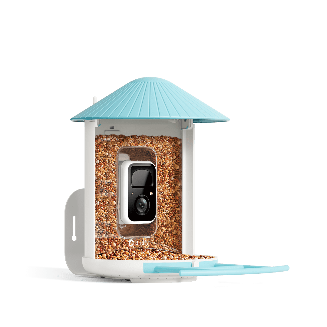 Birdfy Feeder - FutterHaus Vögel mit Kamera