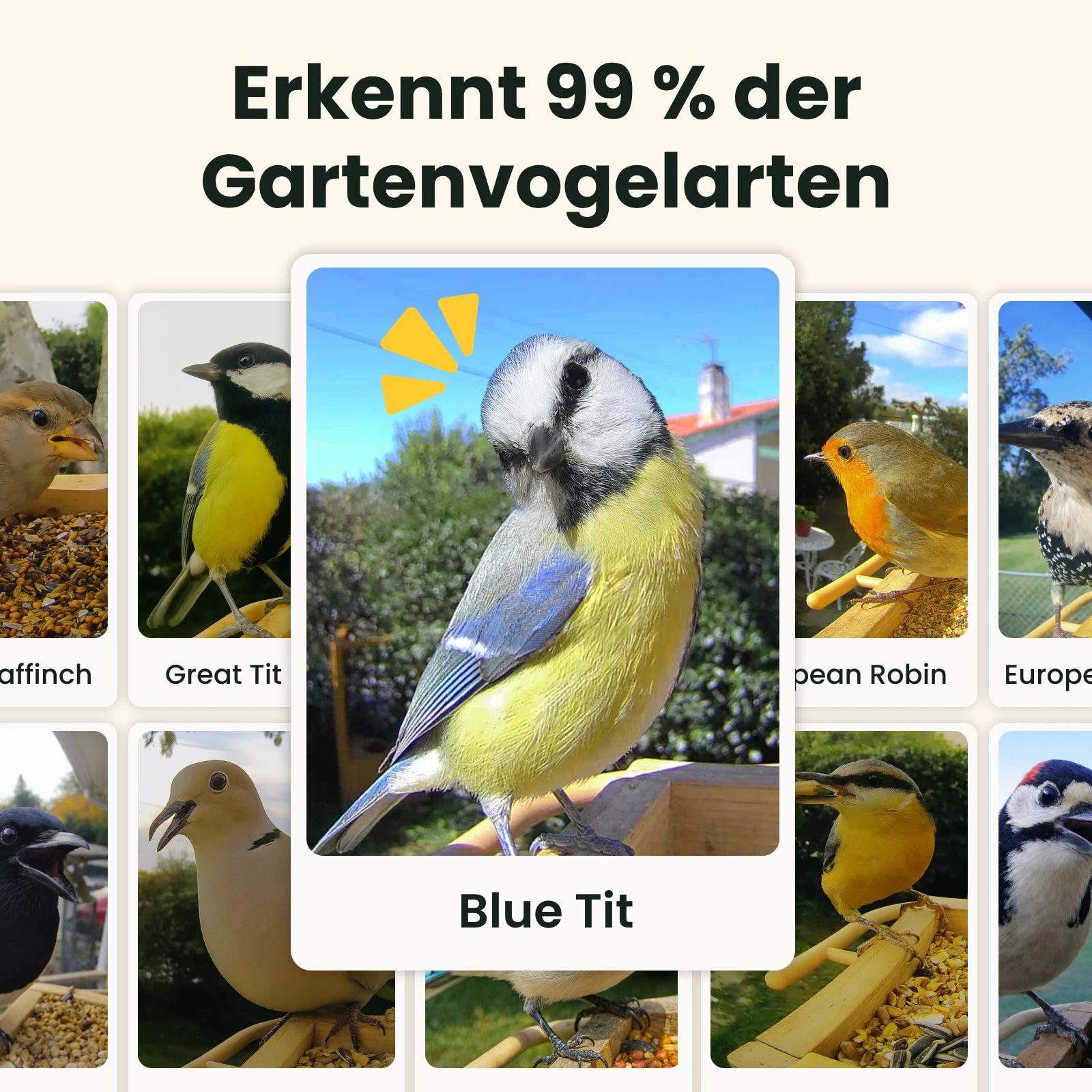 Birdfy Feeder Wood – Holziger Smart-Fütterer mit Kamera