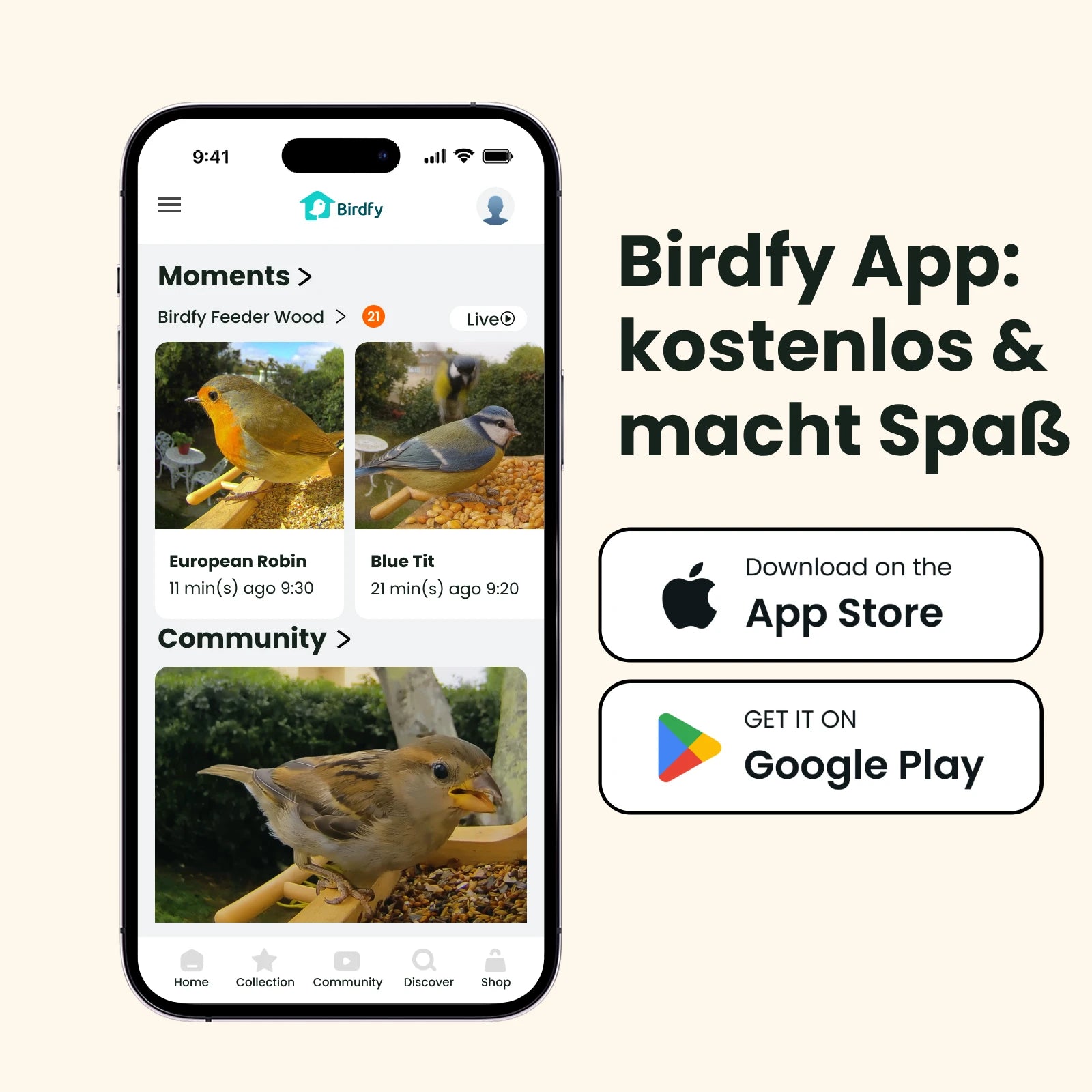 Birdfy Feeder Wood – Holziger Smart-Fütterer mit Kamera