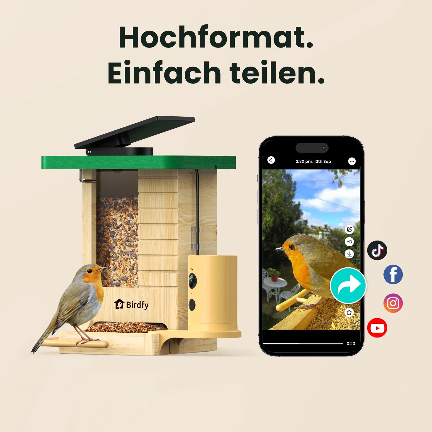 Birdfy Feeder Wood - Geschenkpaket