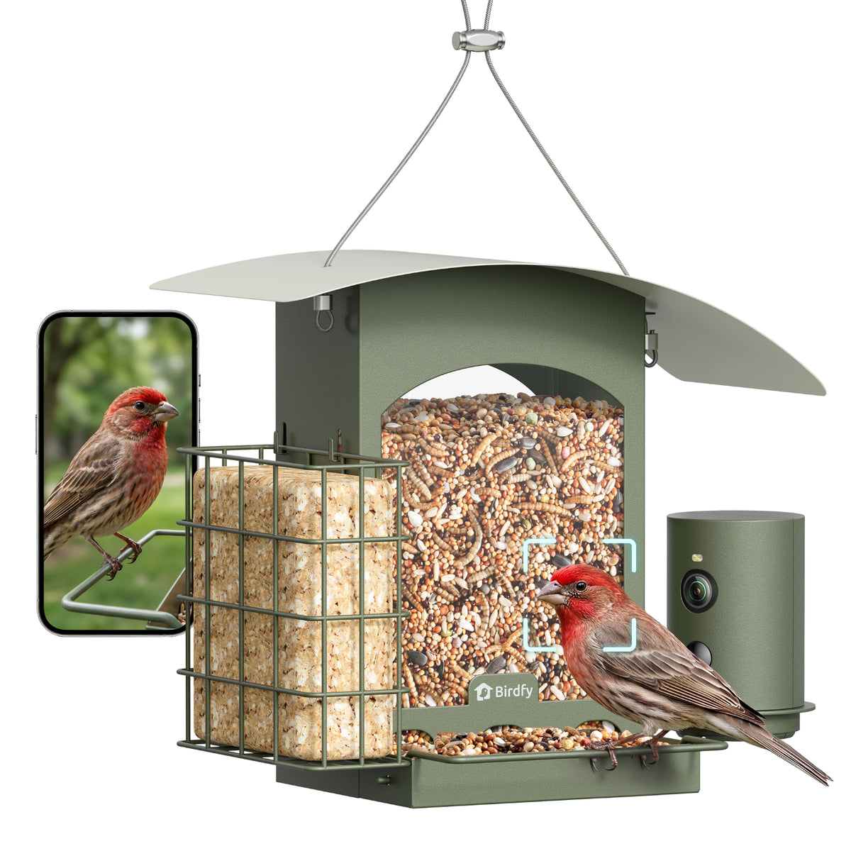 Birdfy Feeder Metal A - Vogel Futterhaus mit Kamera