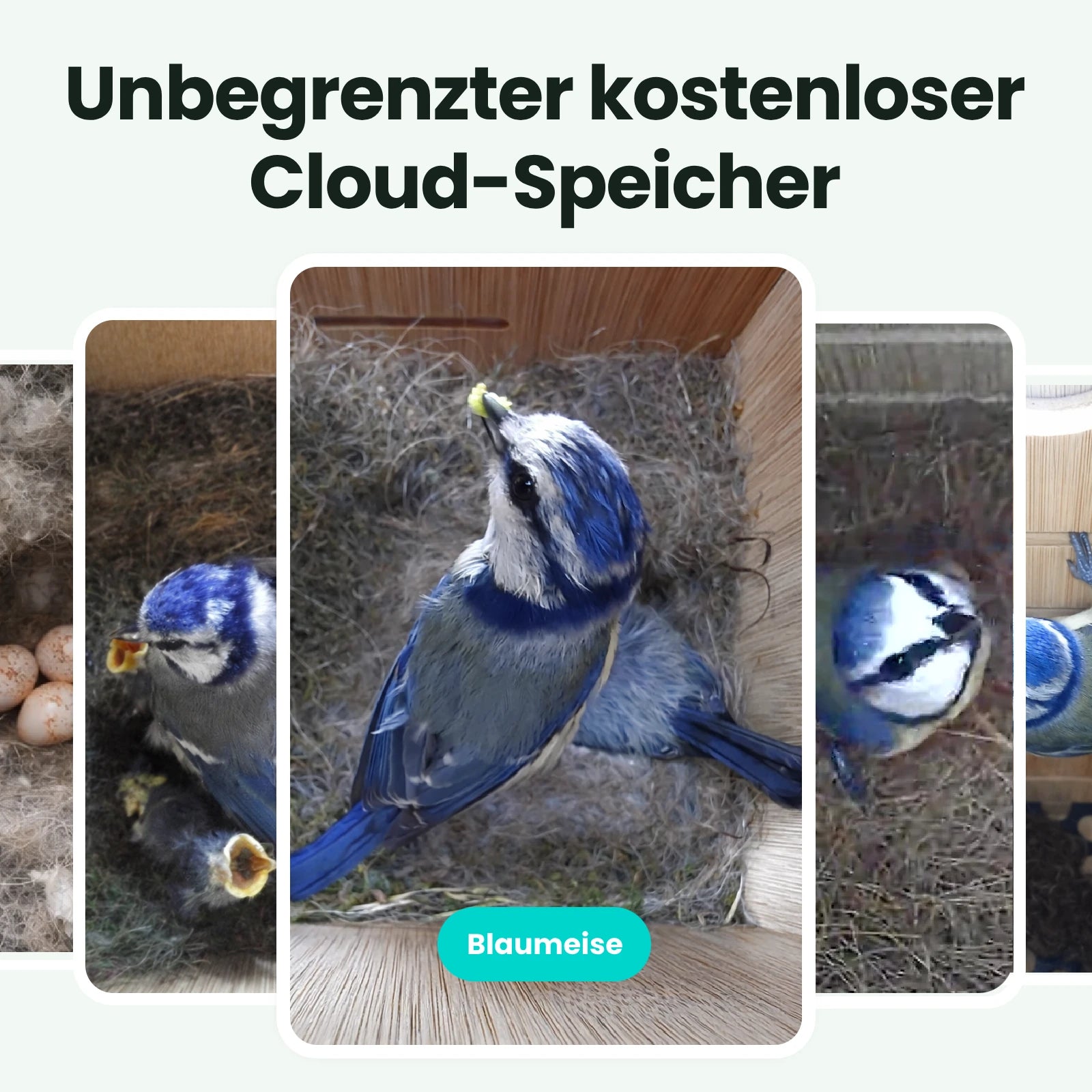 Birdfy Nest - Holzernes Smart-Vogelhaus mit Kamera