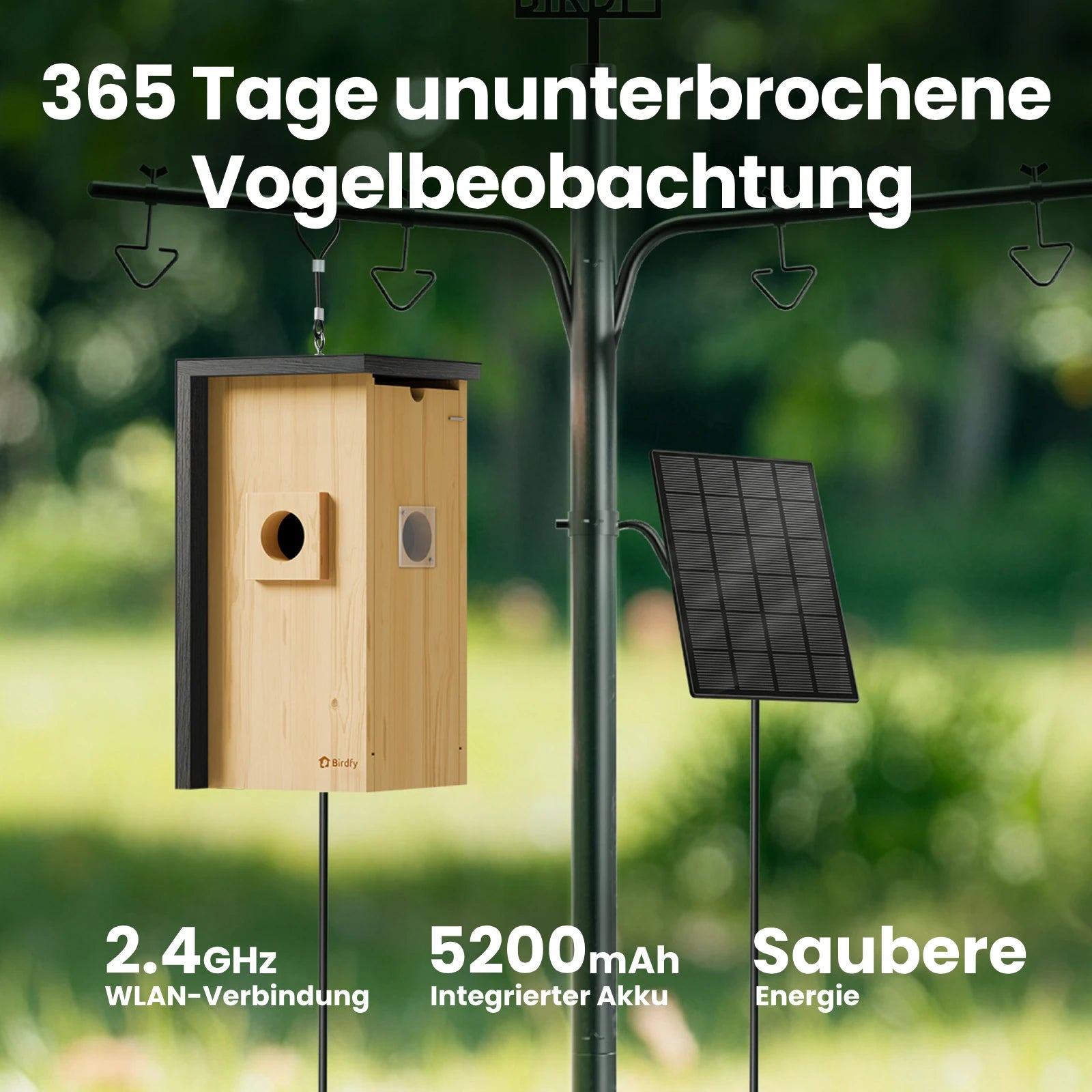 Birdfy Nest - Holzernes Smart-Vogelhaus mit Kamera
