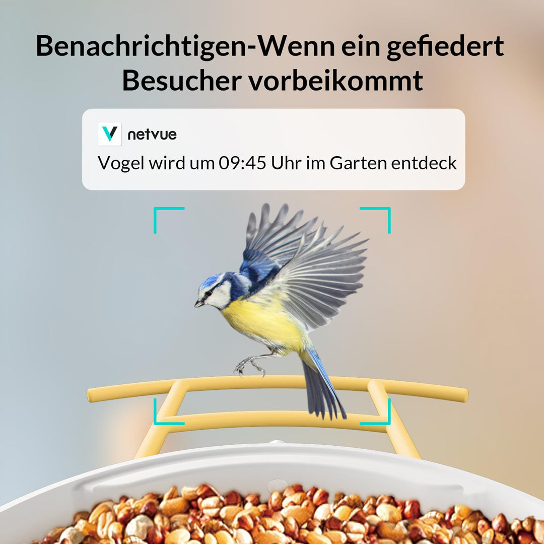 Birdfy Feeder Lite- Vogelfutterstation mit Kamera automatische Aufnahme von Vogelvideos