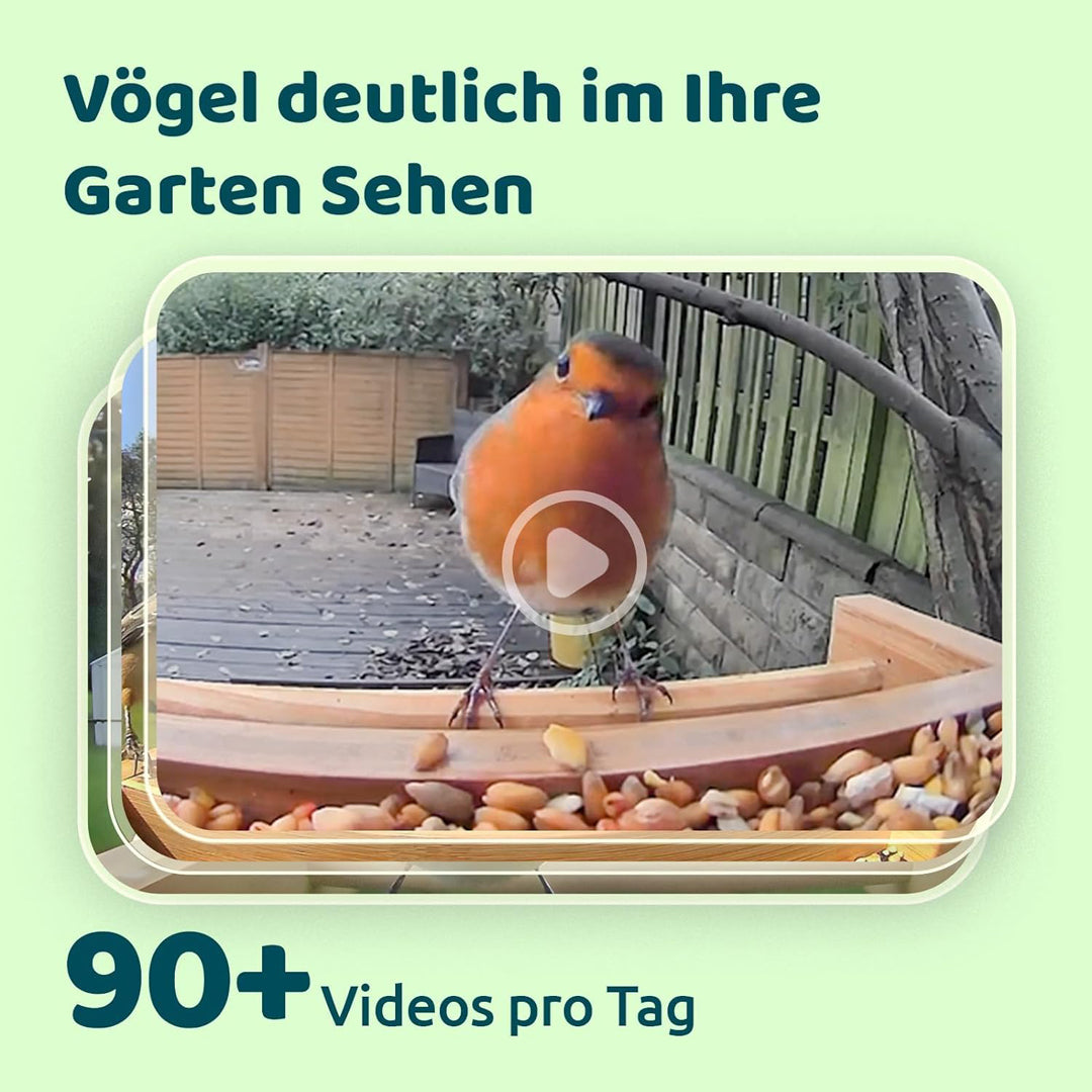 Birdfy Feeder Bamboo- Vogelfutterstation, mweltfreundlicher Bambus Vogelhaus mit Video Aufnehmen