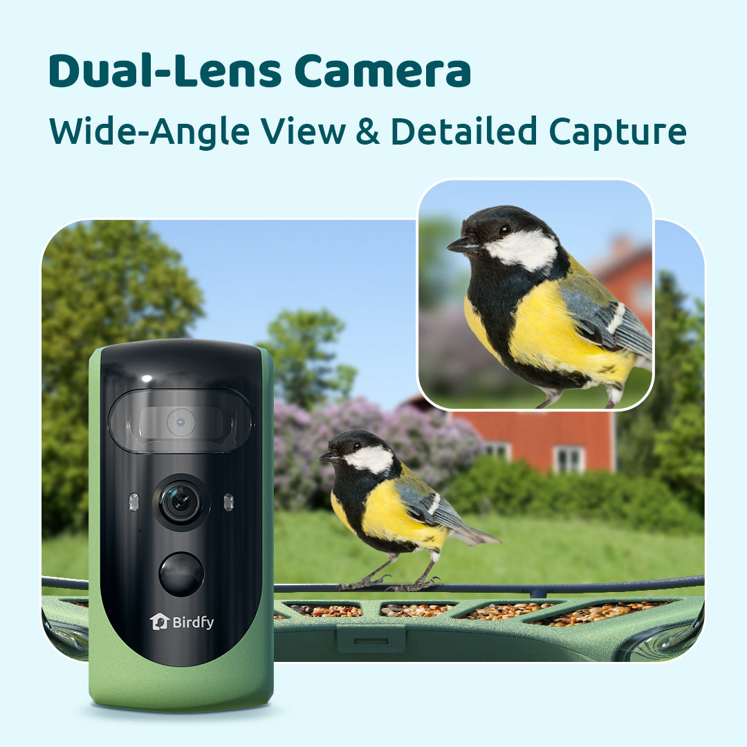 Birdfy Feeder 2 Pro + Birdfy Bath Pro with Stand Bundle