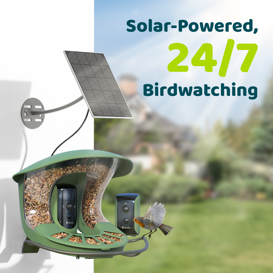 Birdfy Feeder 2 Duo - Bird Feeder with Kamera