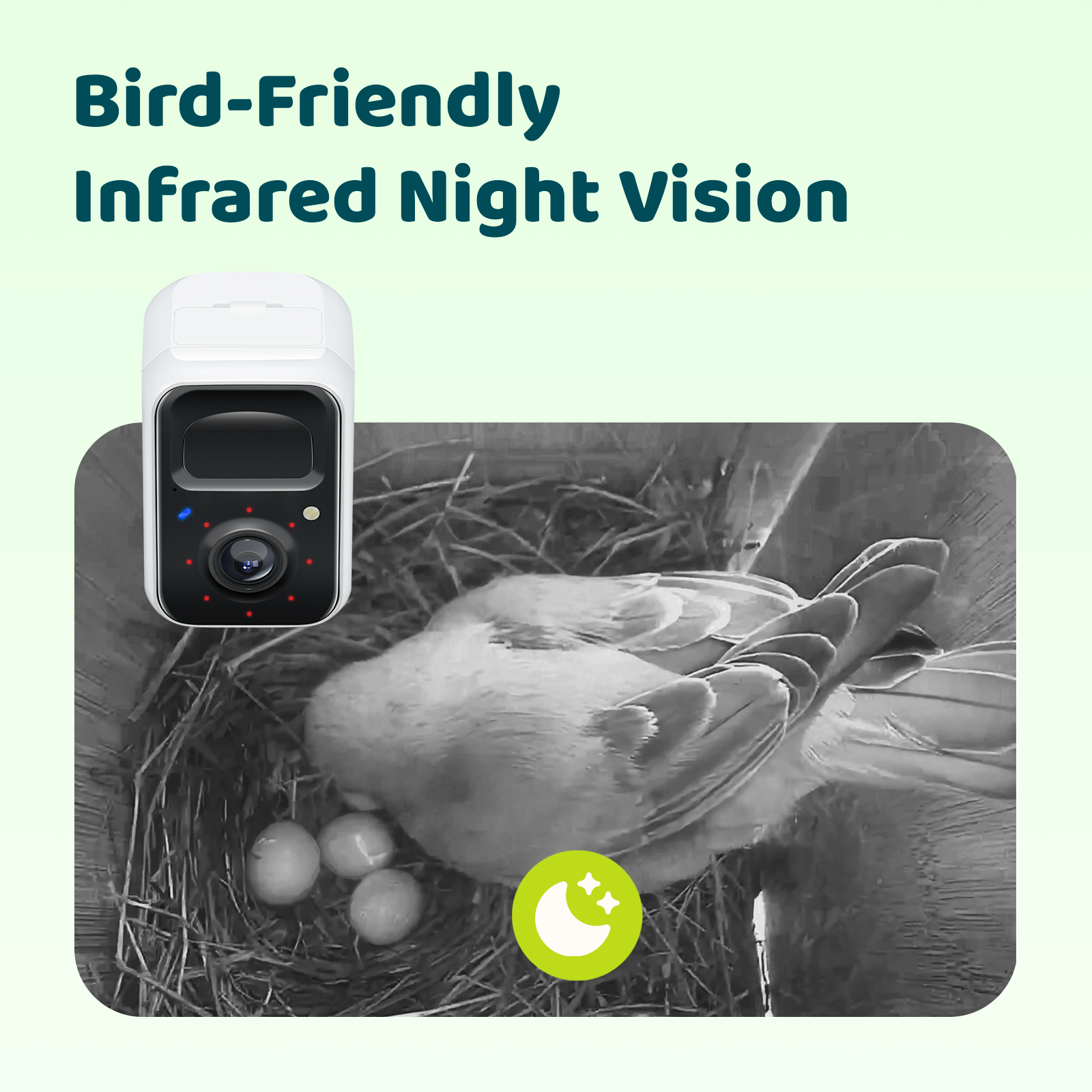 Birdfy Nest Polygon - Intelligentes Vogelhaus mit Kamera