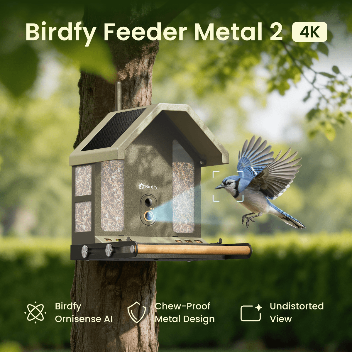 Birdfy Feeder Metal 2 4K