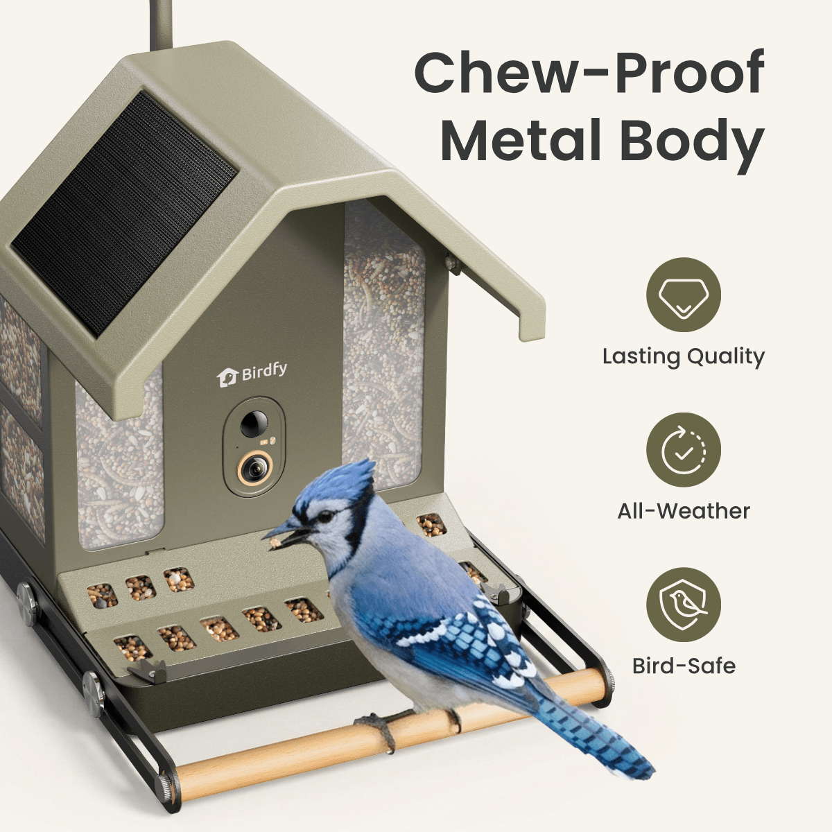 Birdfy Feeder Metal 2 4K
