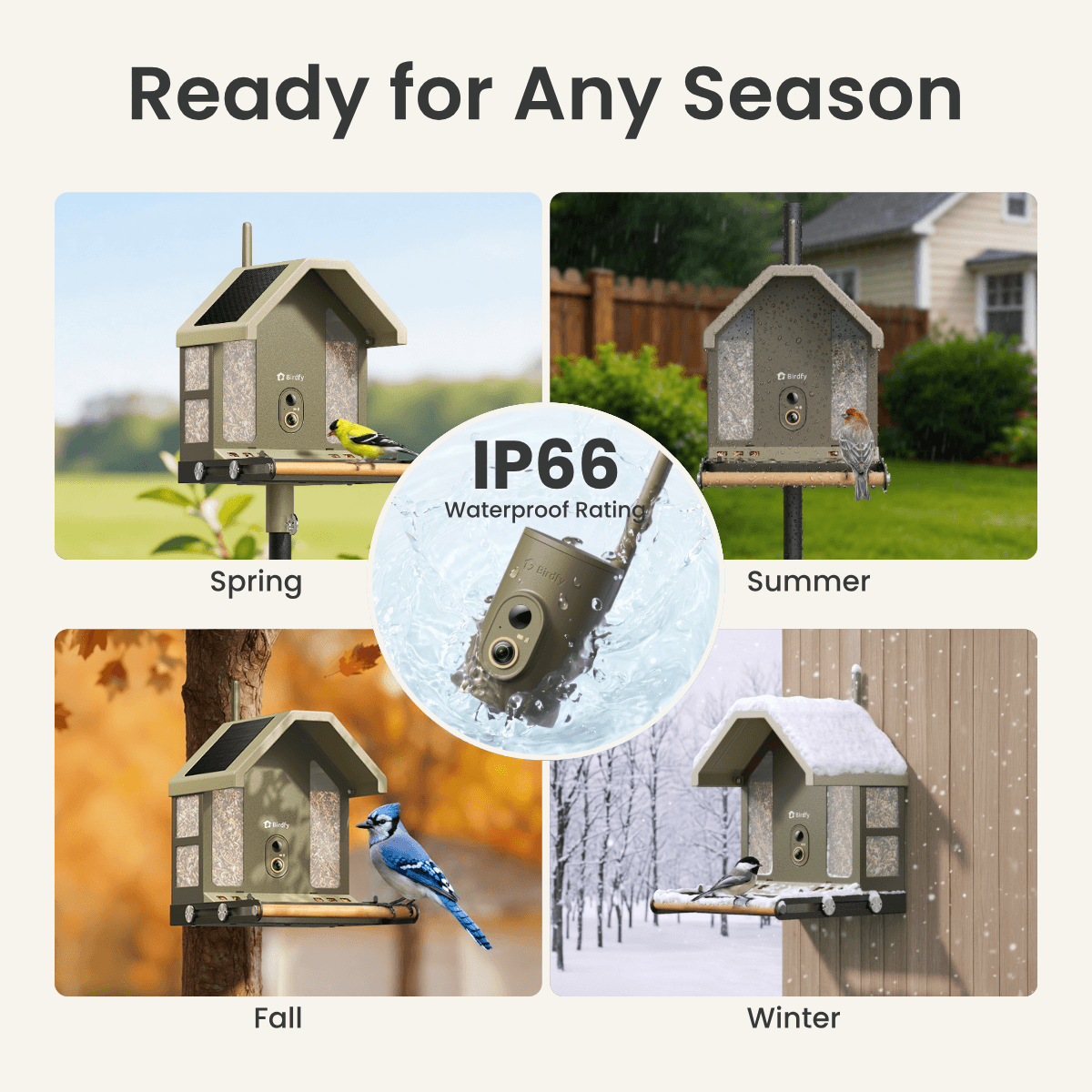 Birdfy Feeder Metal 2 4K