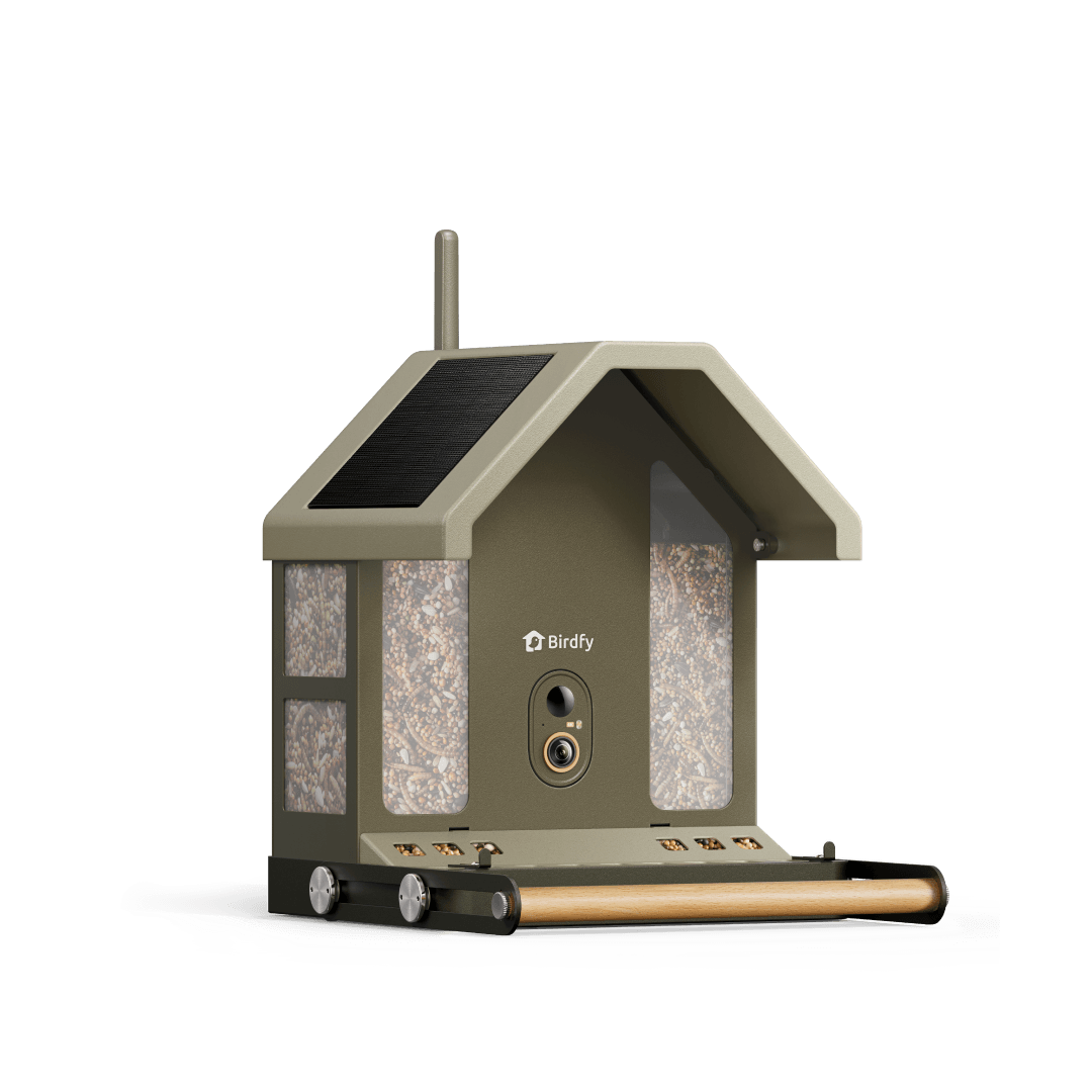 Birdfy Feeder Metal 2 4K